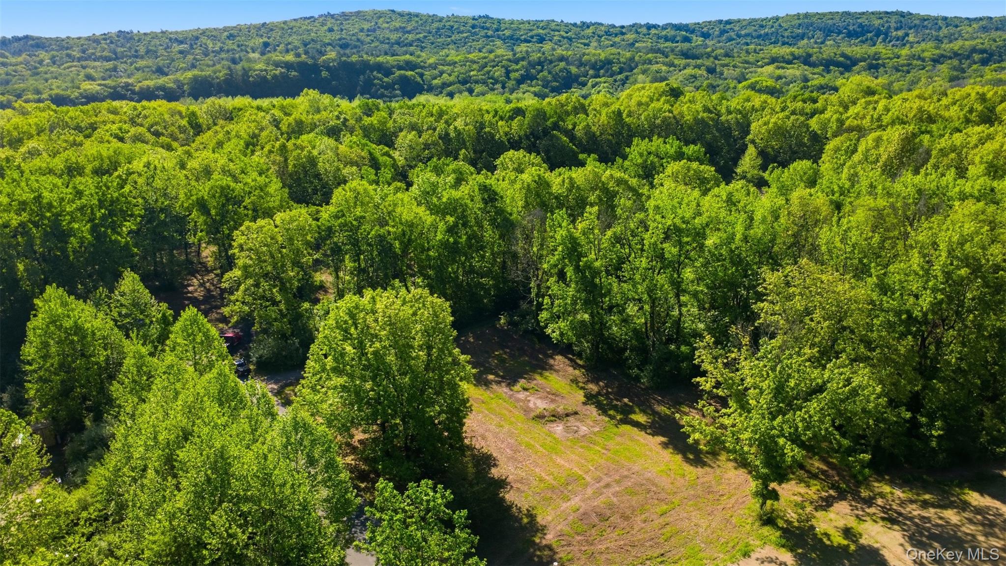 238 Bruceville Road – For Sale photo 6