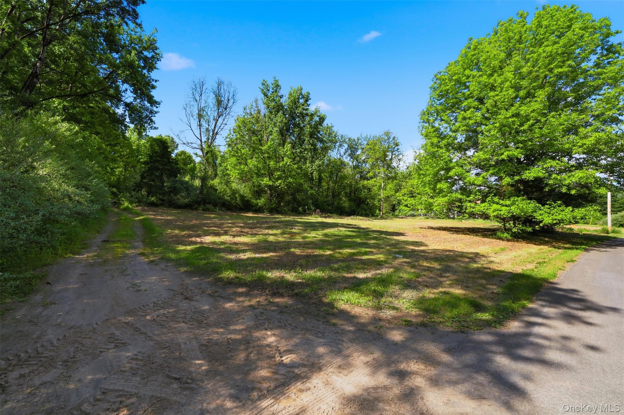 238 Bruceville Road – For Sale photo 11