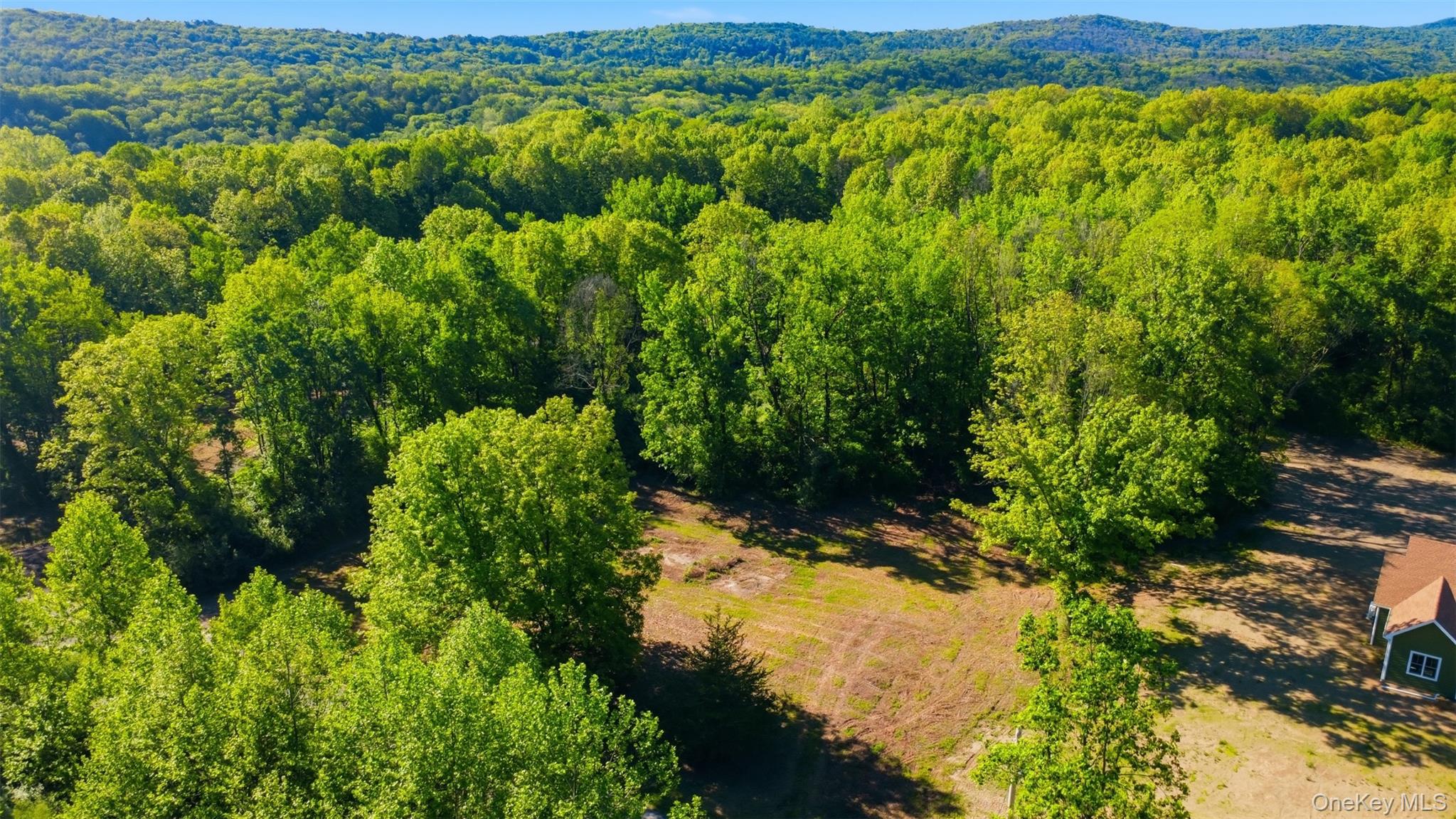 238 Bruceville Road – For Sale photo 2