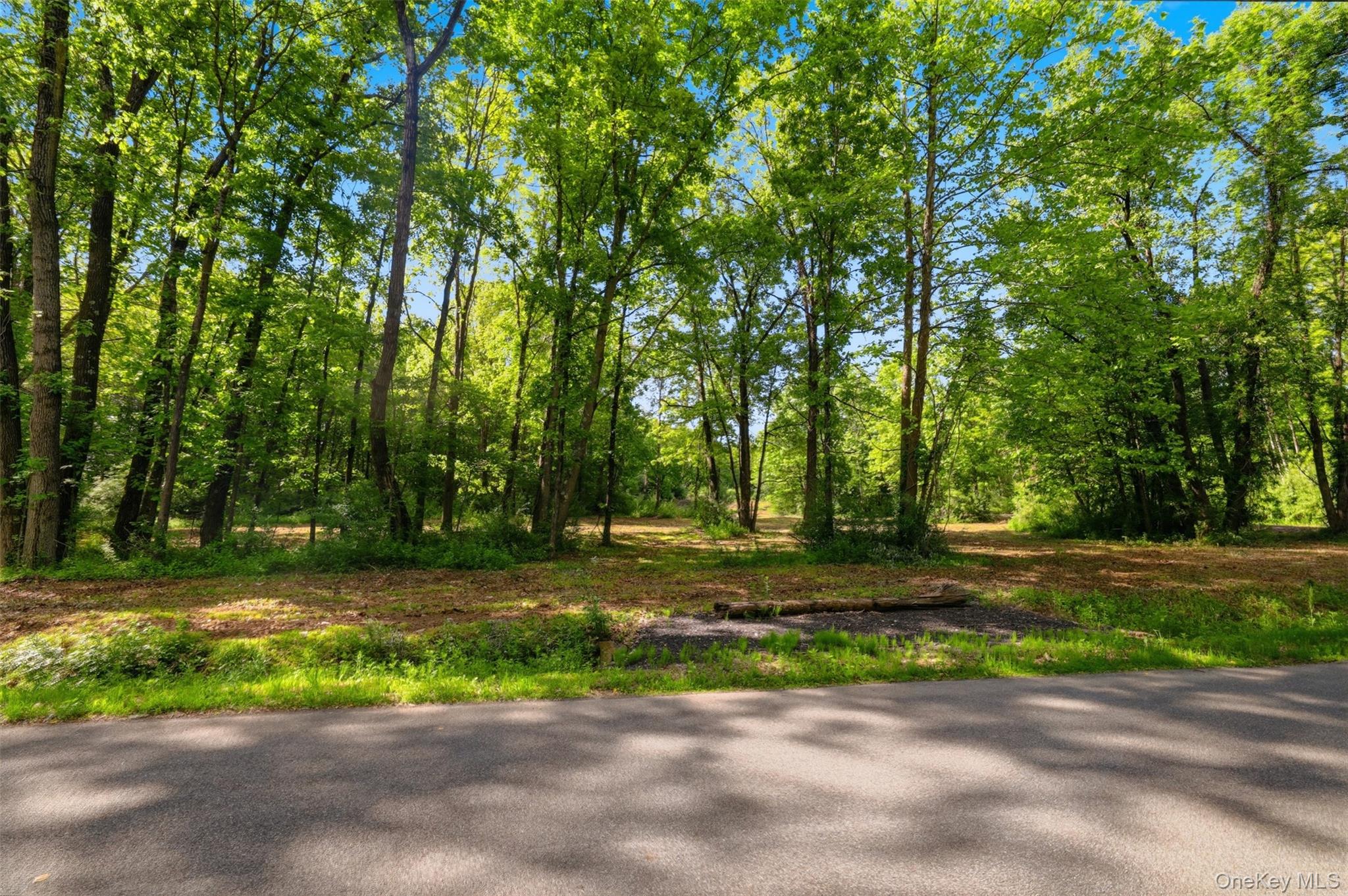 238 Bruceville Road – For Sale photo 14