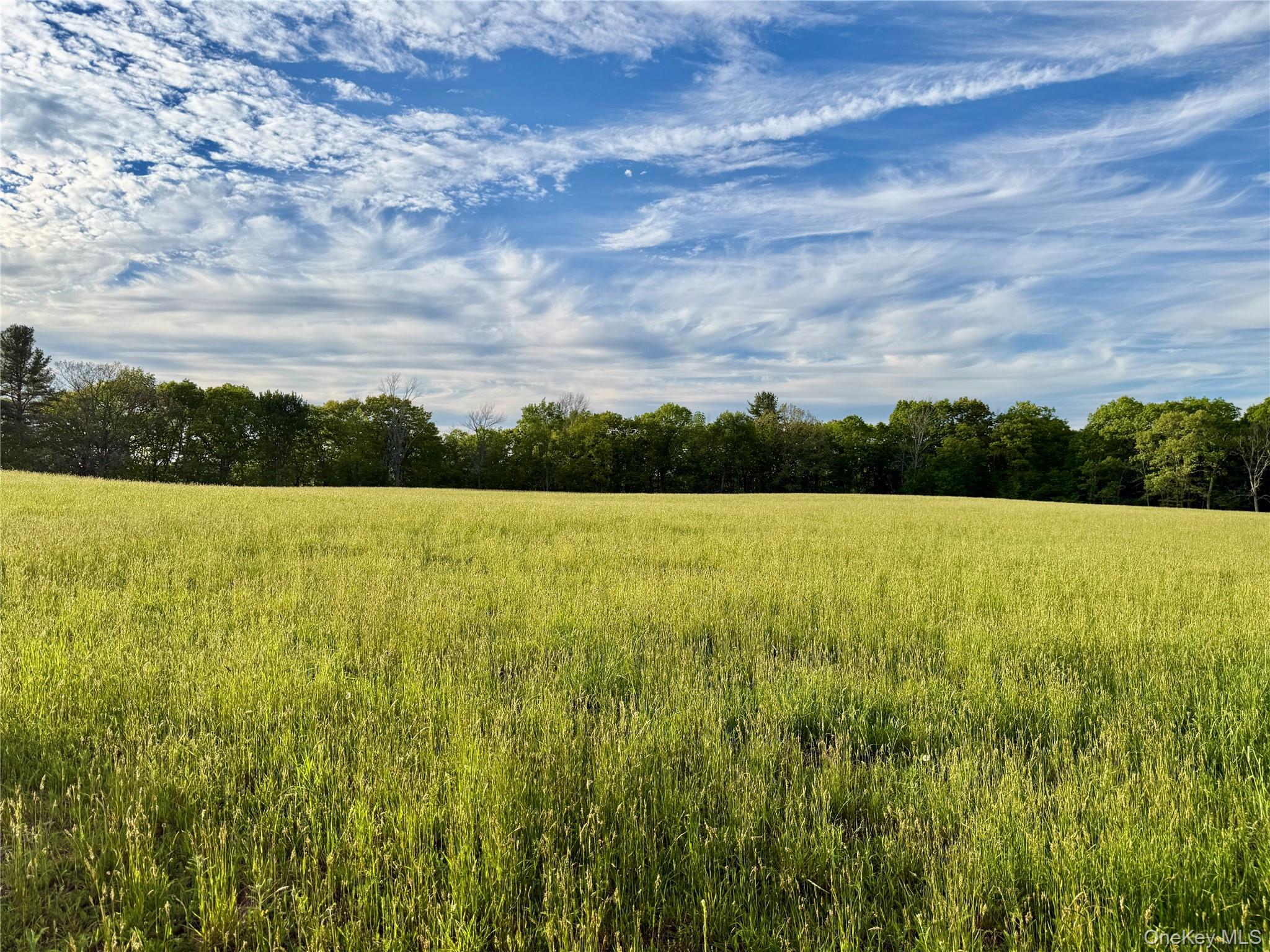 23 Hartman Road – For Sale photo 38