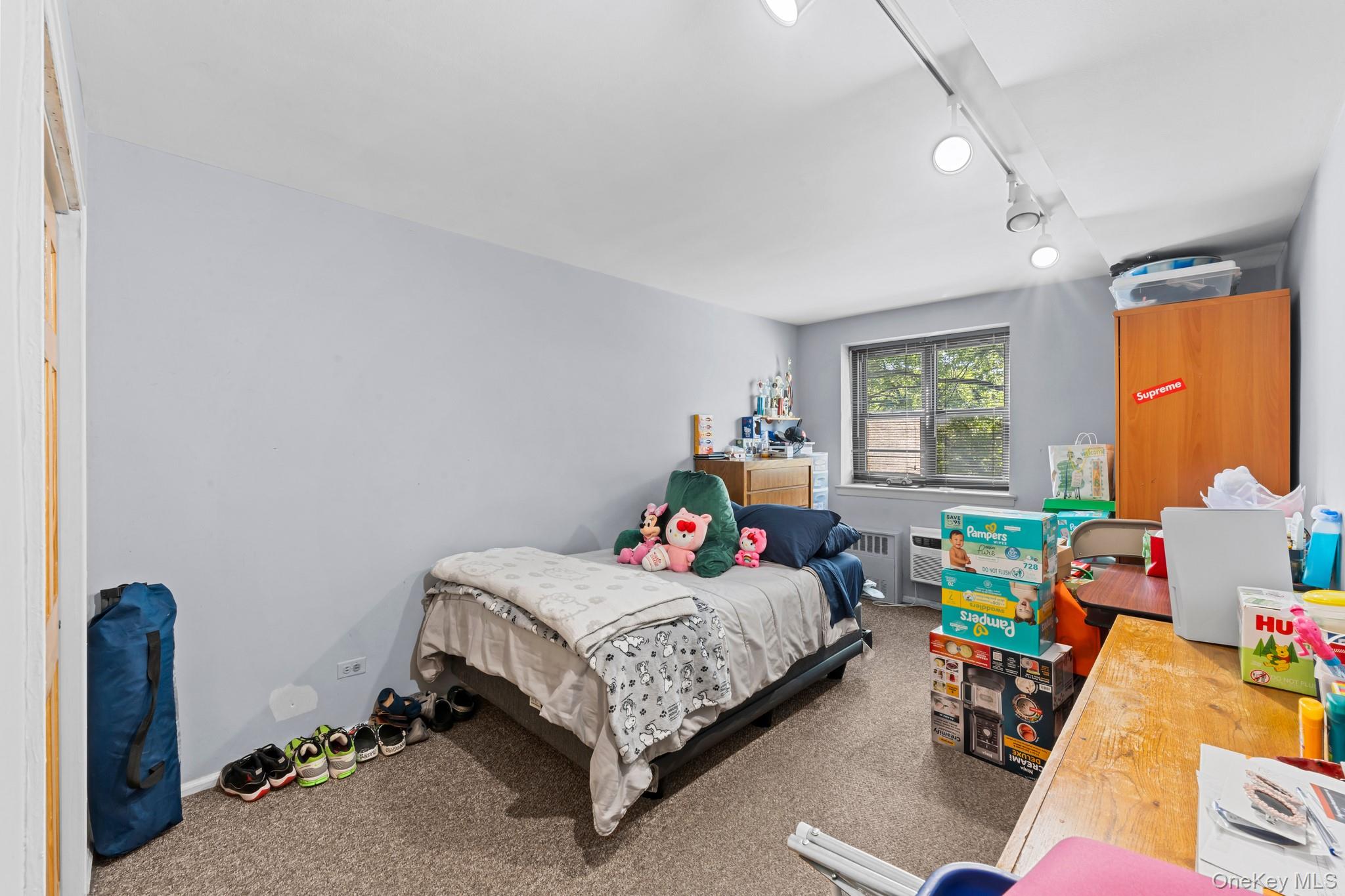 85-10 151 Avenue, Unit 2D photo 12