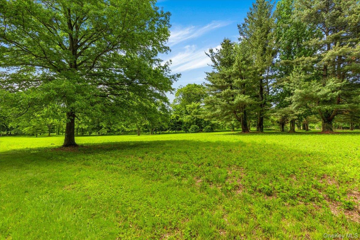 Parcel #0641-25 Purchase Street – For Sale photo 5