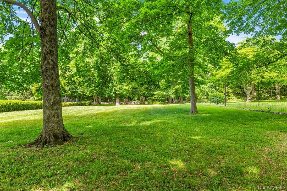Parcel #0641-25 Purchase Street – For Sale photo 3