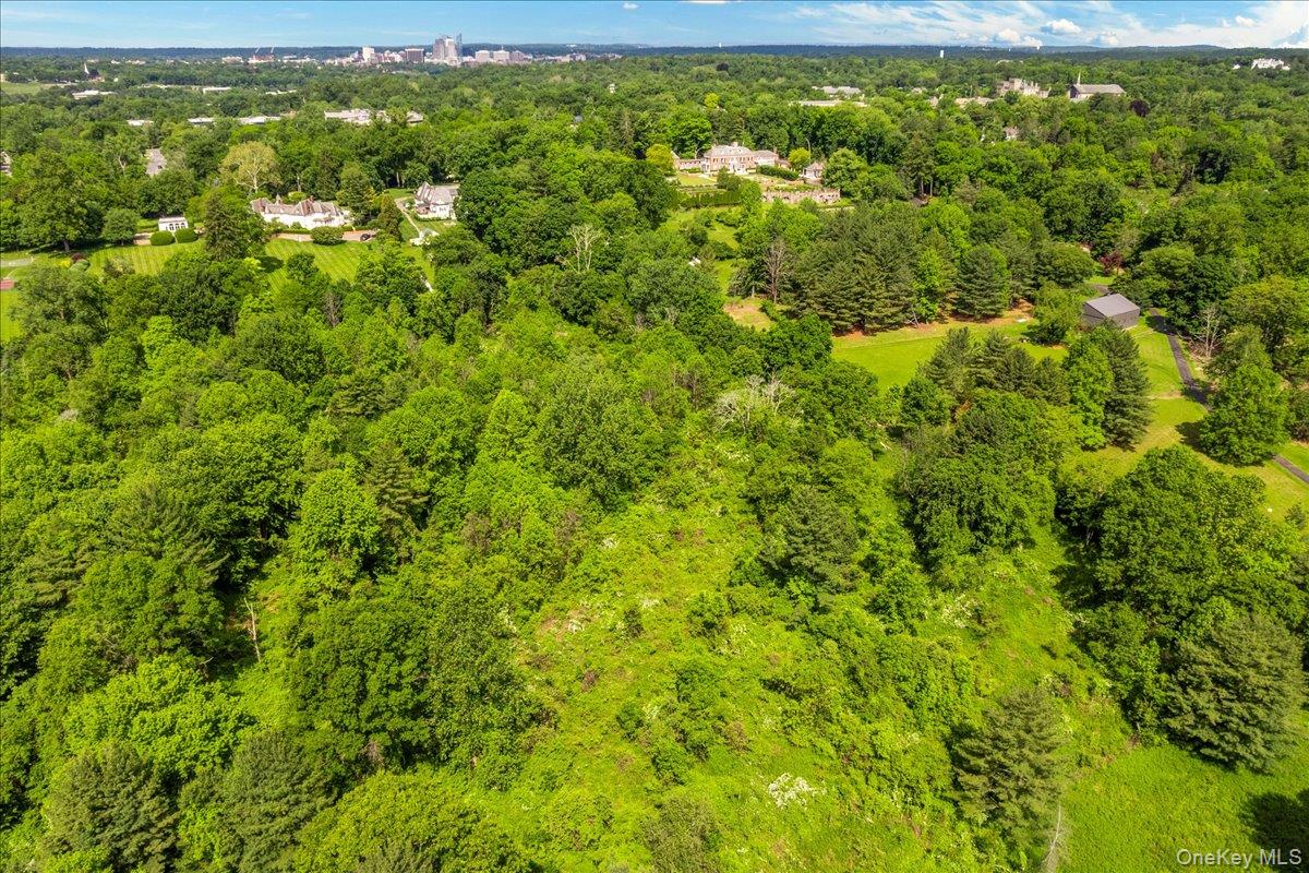 Parcel #0641-25 Purchase Street – For Sale photo 10