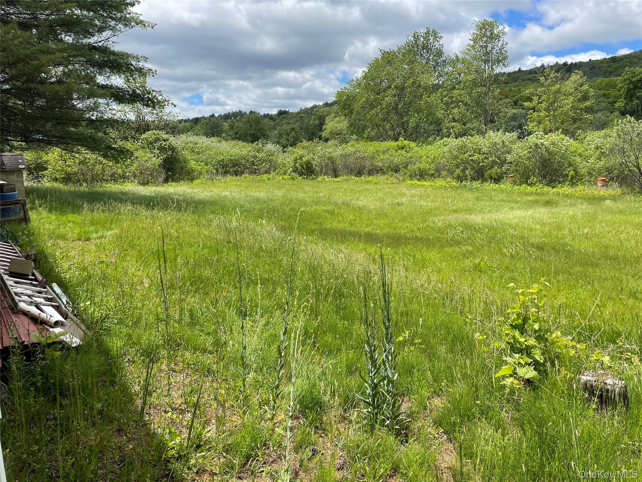 163 Fire House Road – For Sale photo 4