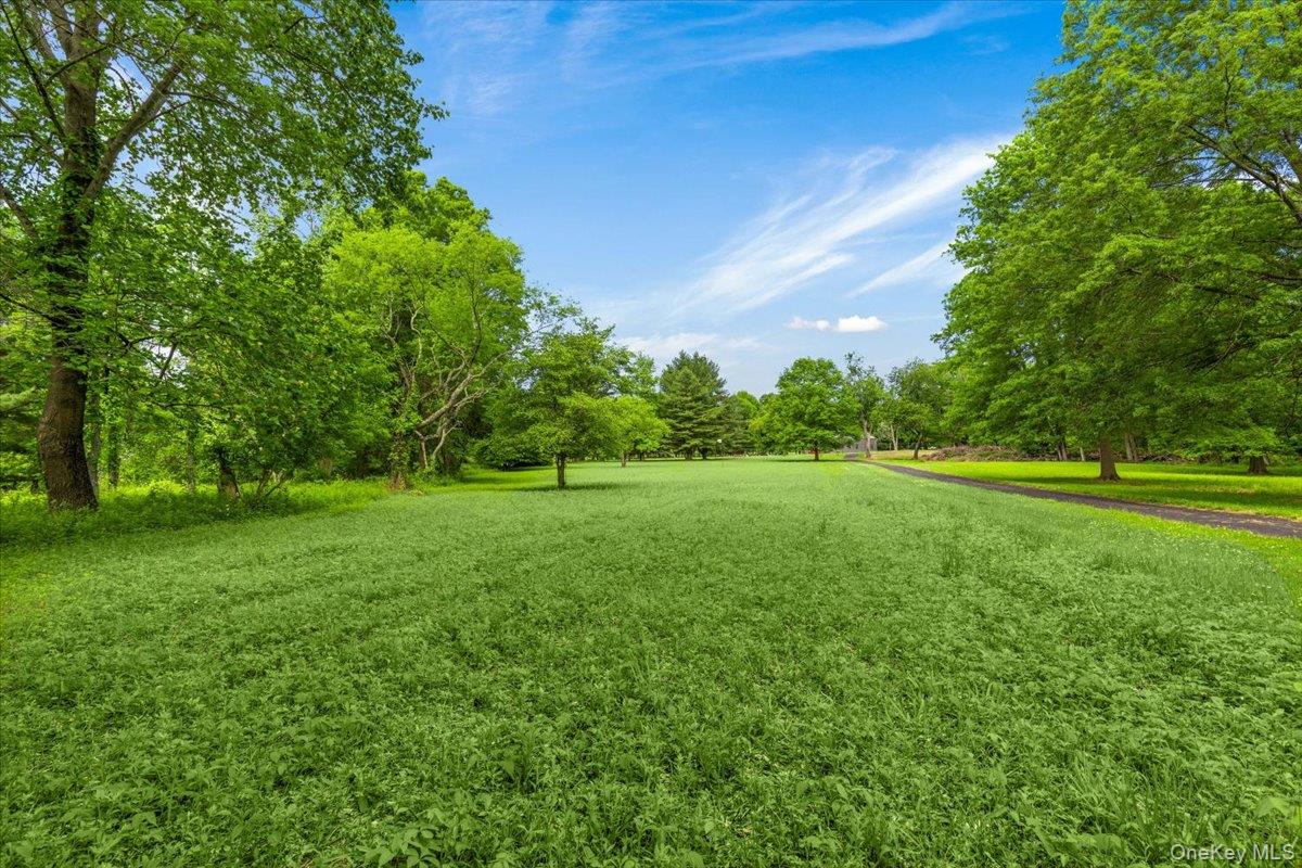 2055 Purchase Street – For Sale