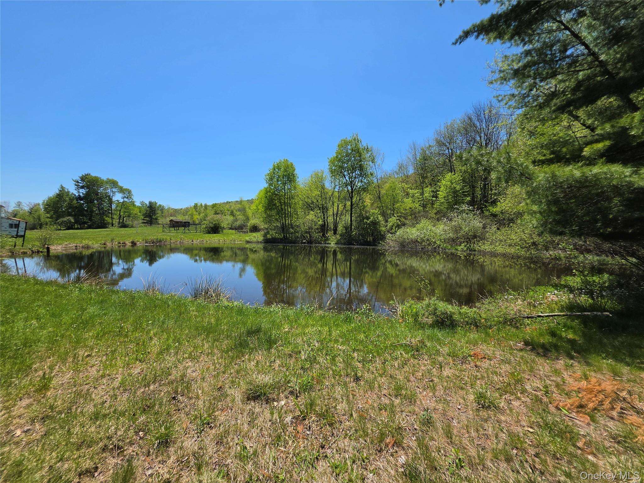 295 Jeffersonville North Branch Road – For Sale photo 20