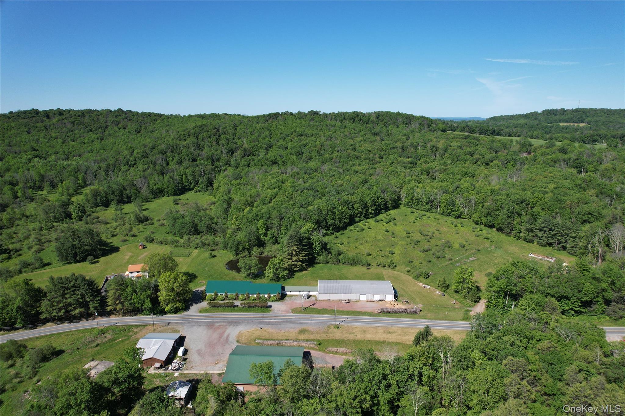 295 Jeffersonville North Branch Road – For Sale photo 3