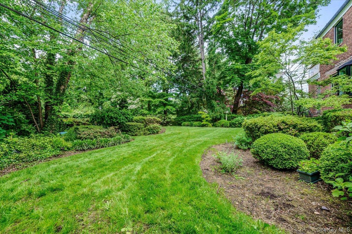 8 Parkside Drive – For Sale photo 31