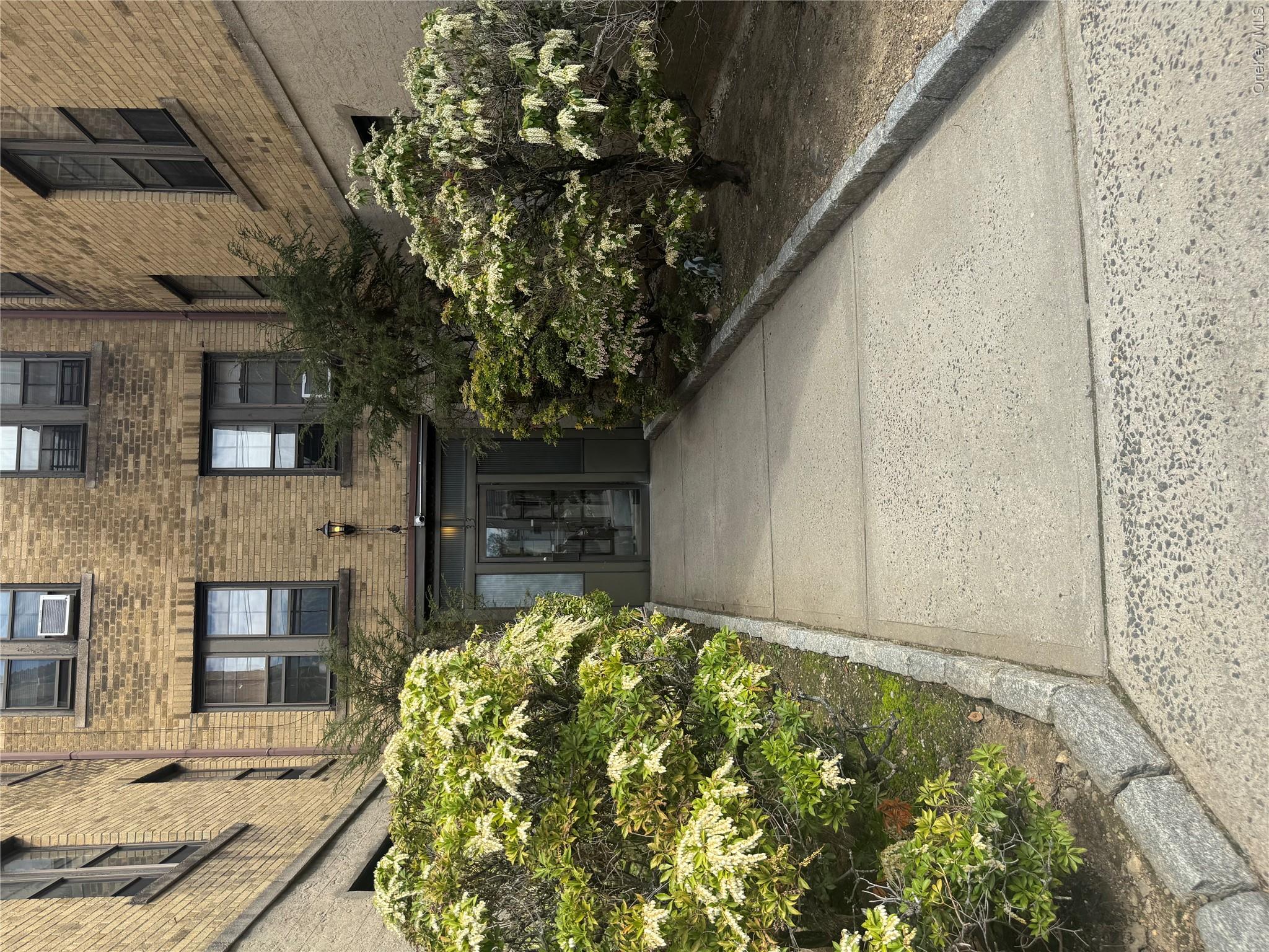 33 Douglas Avenue – For Sale