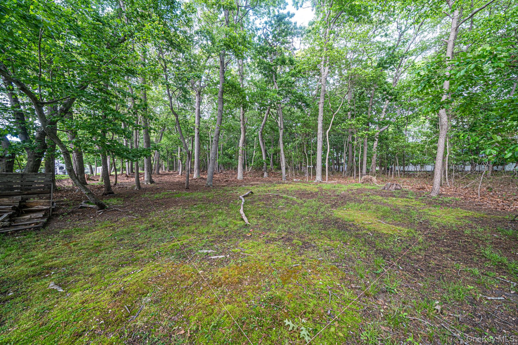 41 Paige Lane – For Sale photo 47