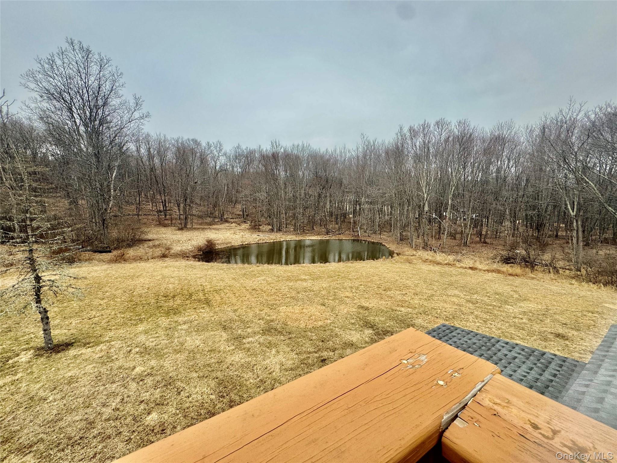 1 Royal Acres Drive – For Sale photo 13