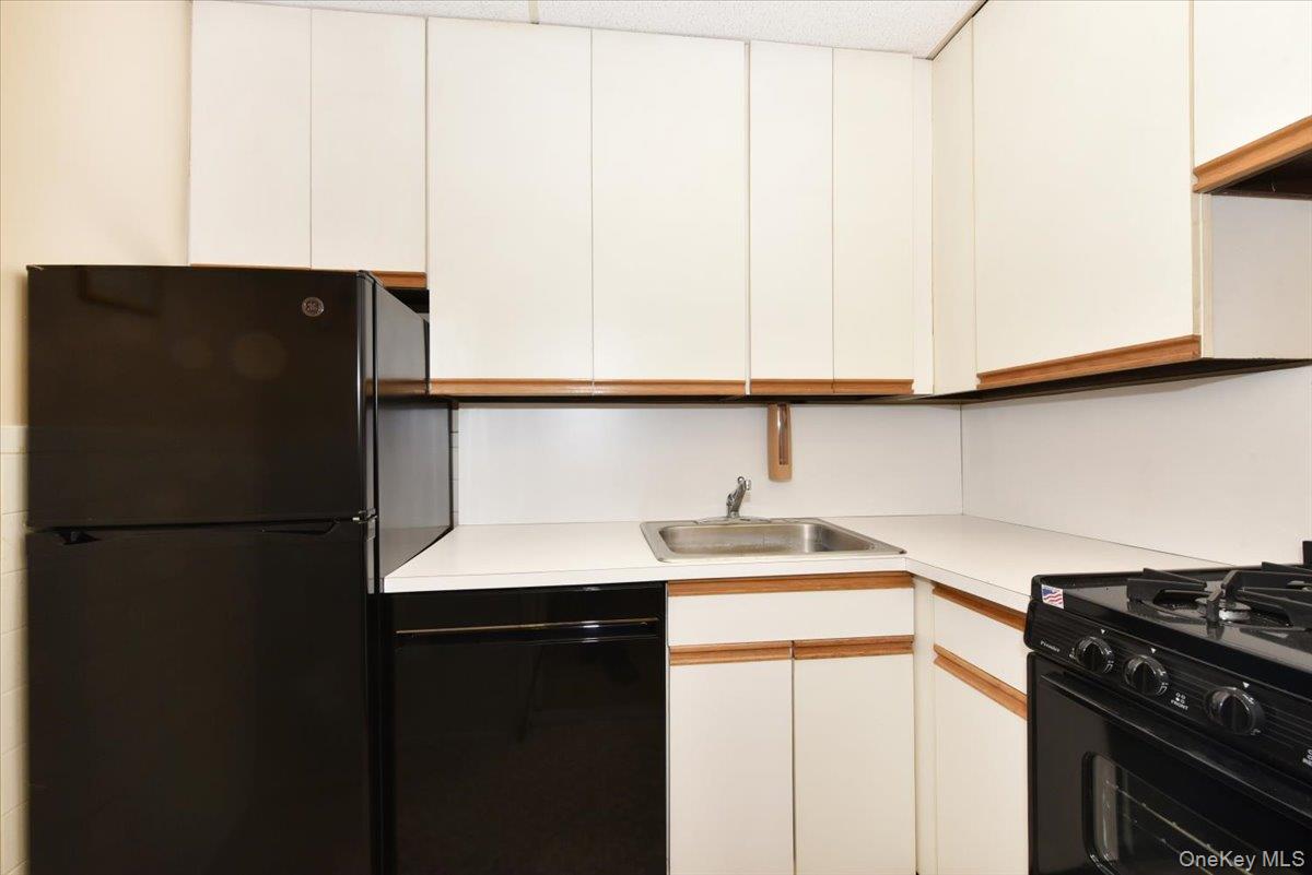 40 Stoner Avenue, Unit 01 photo 12