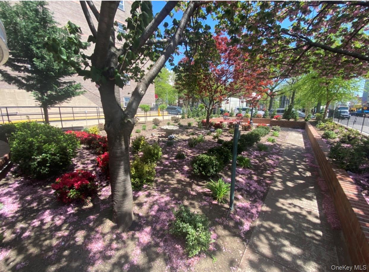 8111 45th Avenue, Unit 5C photo 3
