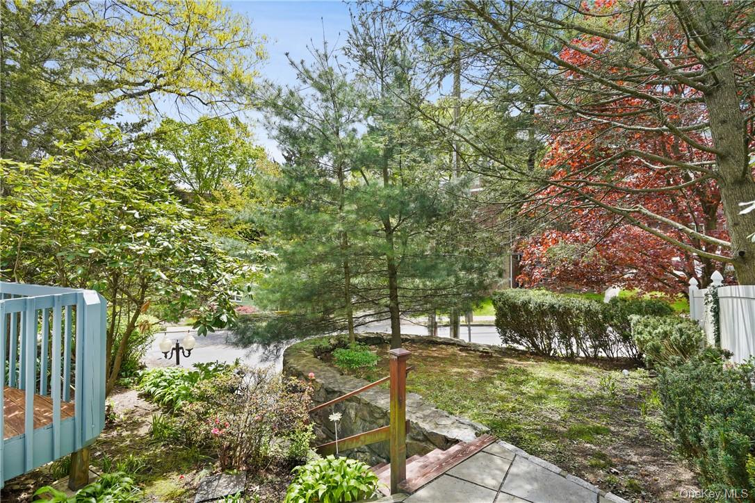 25 Barker Street, Unit 102 photo 25