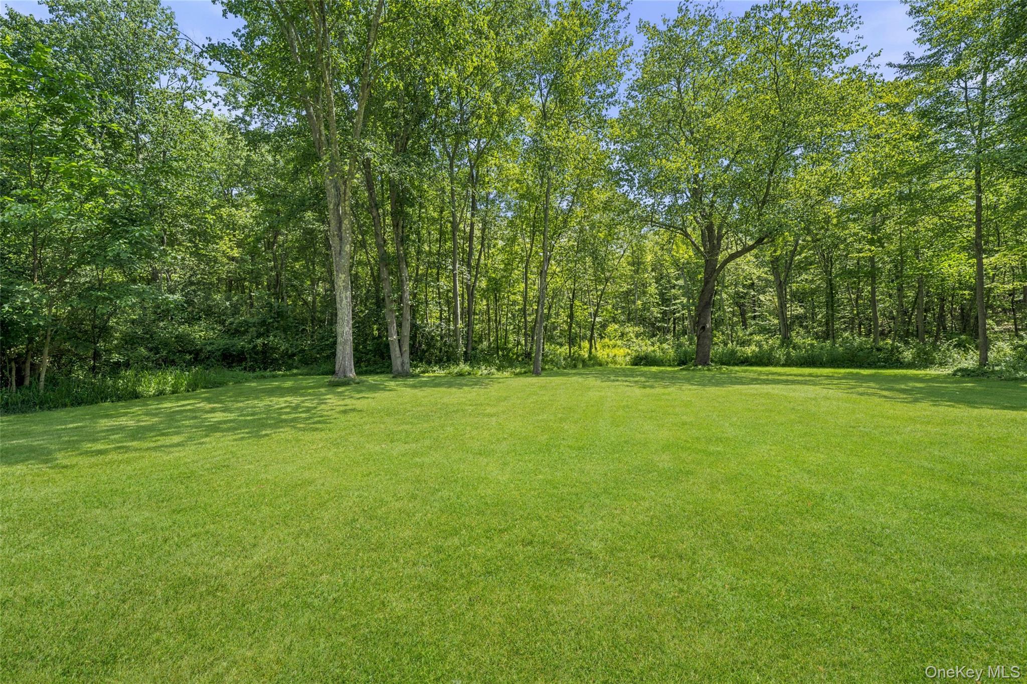 228 W Mombasha Road – For Sale photo 43