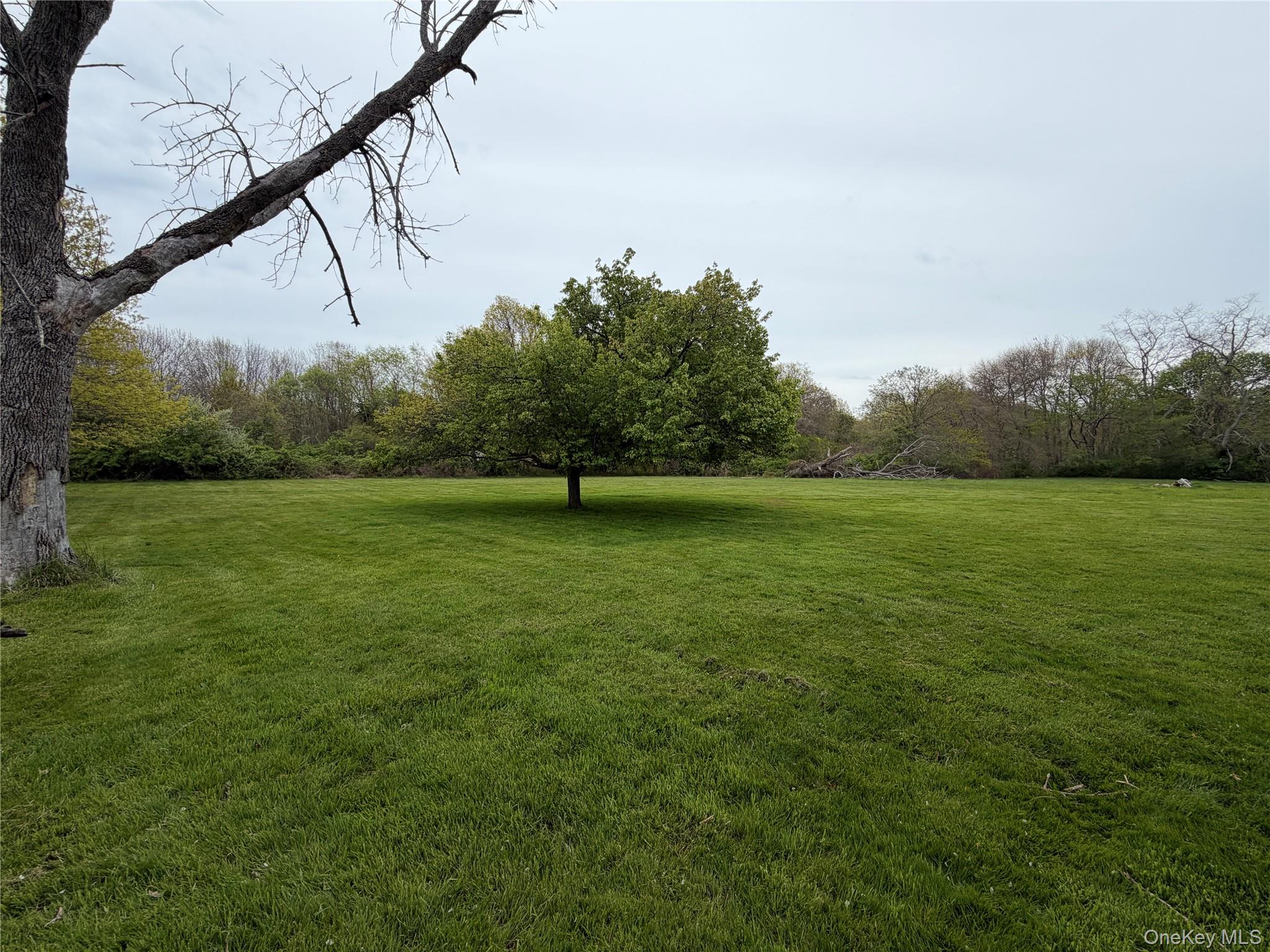 69430 Main Road – For Sale photo 10