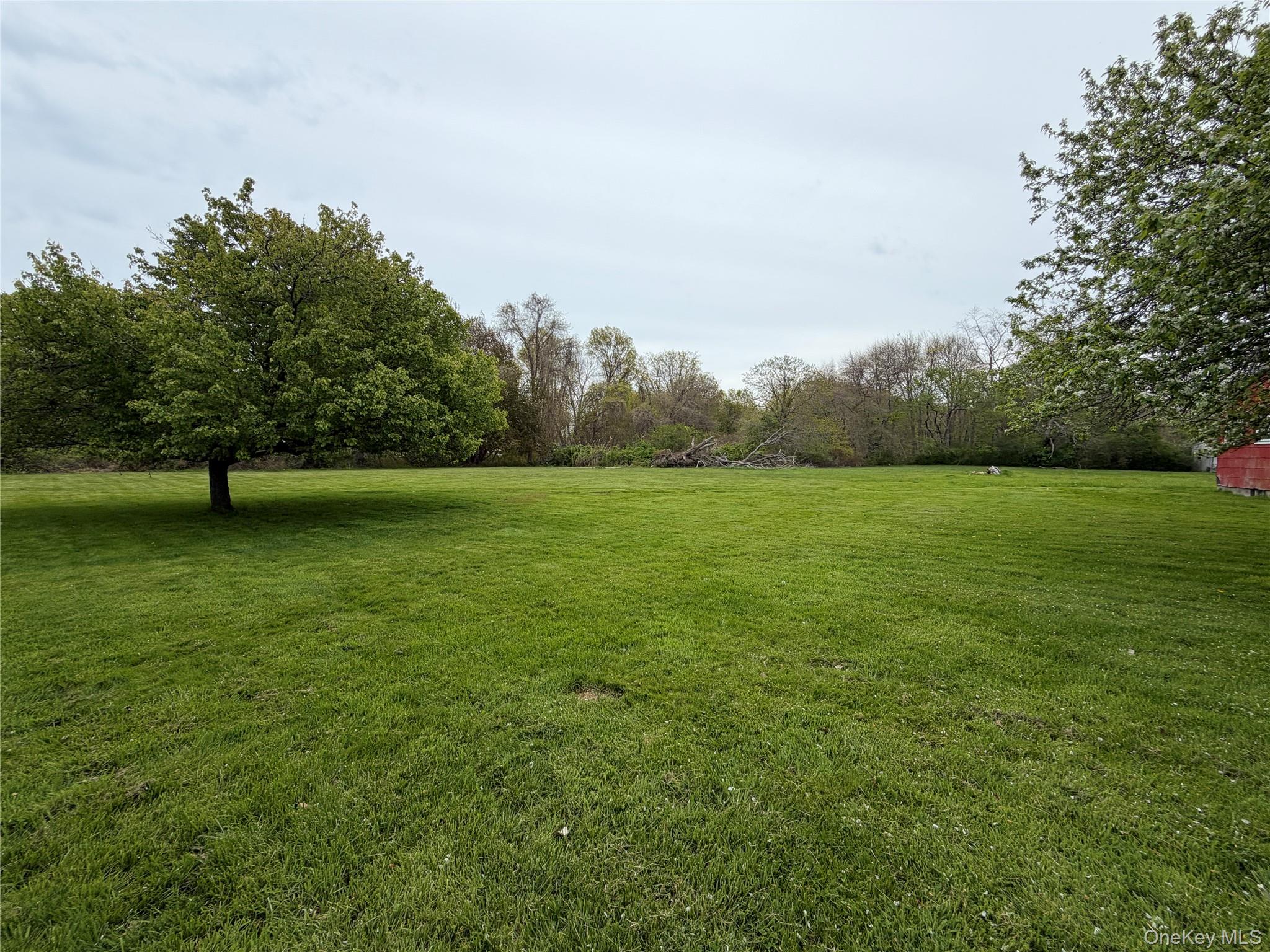 69430 Main Road – For Sale photo 6