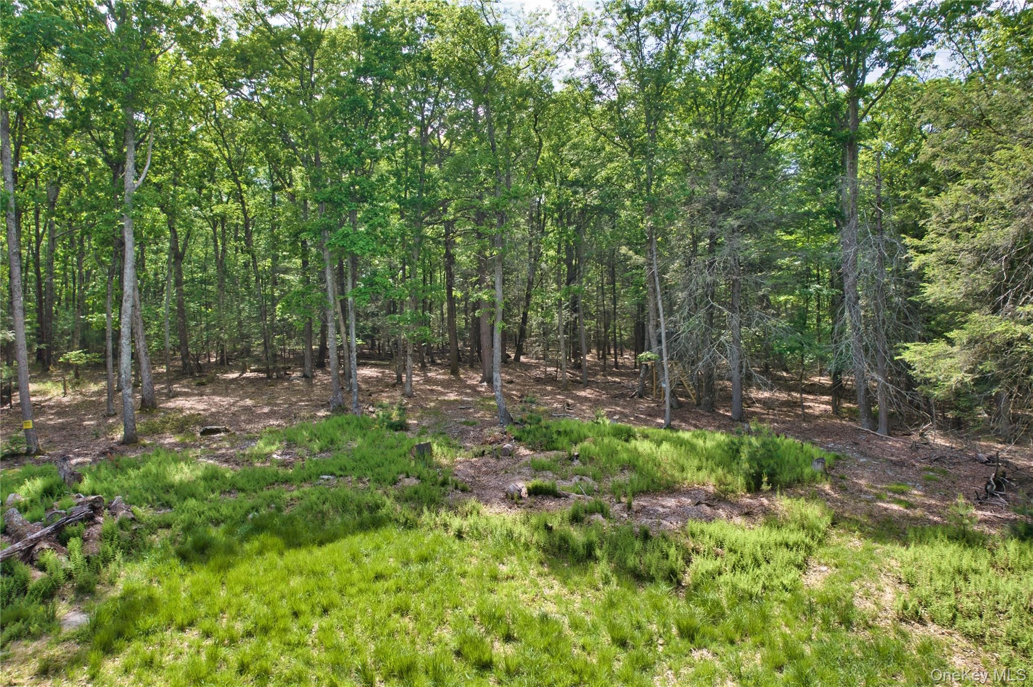 Jersey Road – For Sale