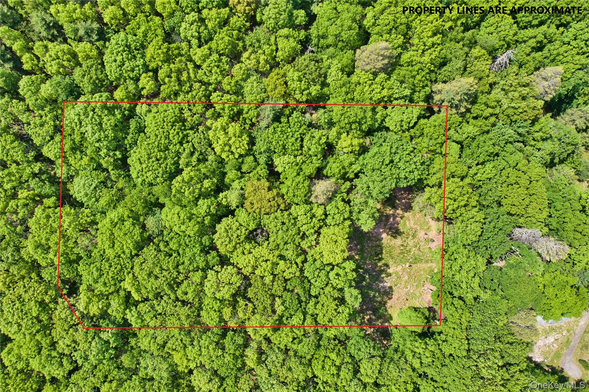 Jersey Road – For Sale photo 2