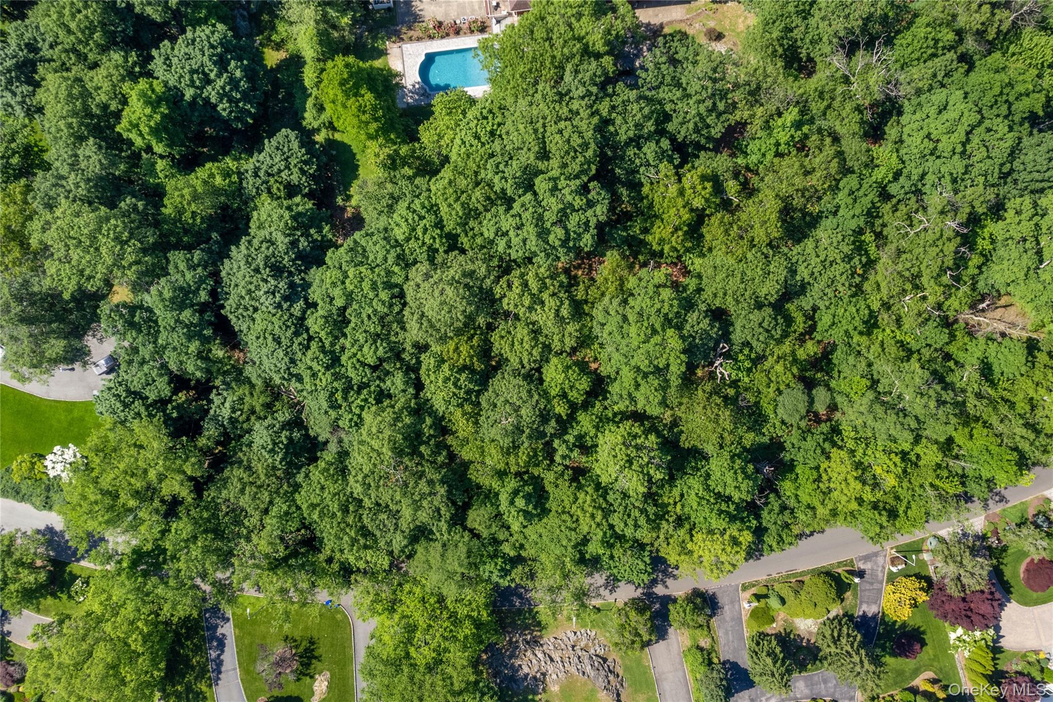 20 Mt. Holly – For Sale photo 6