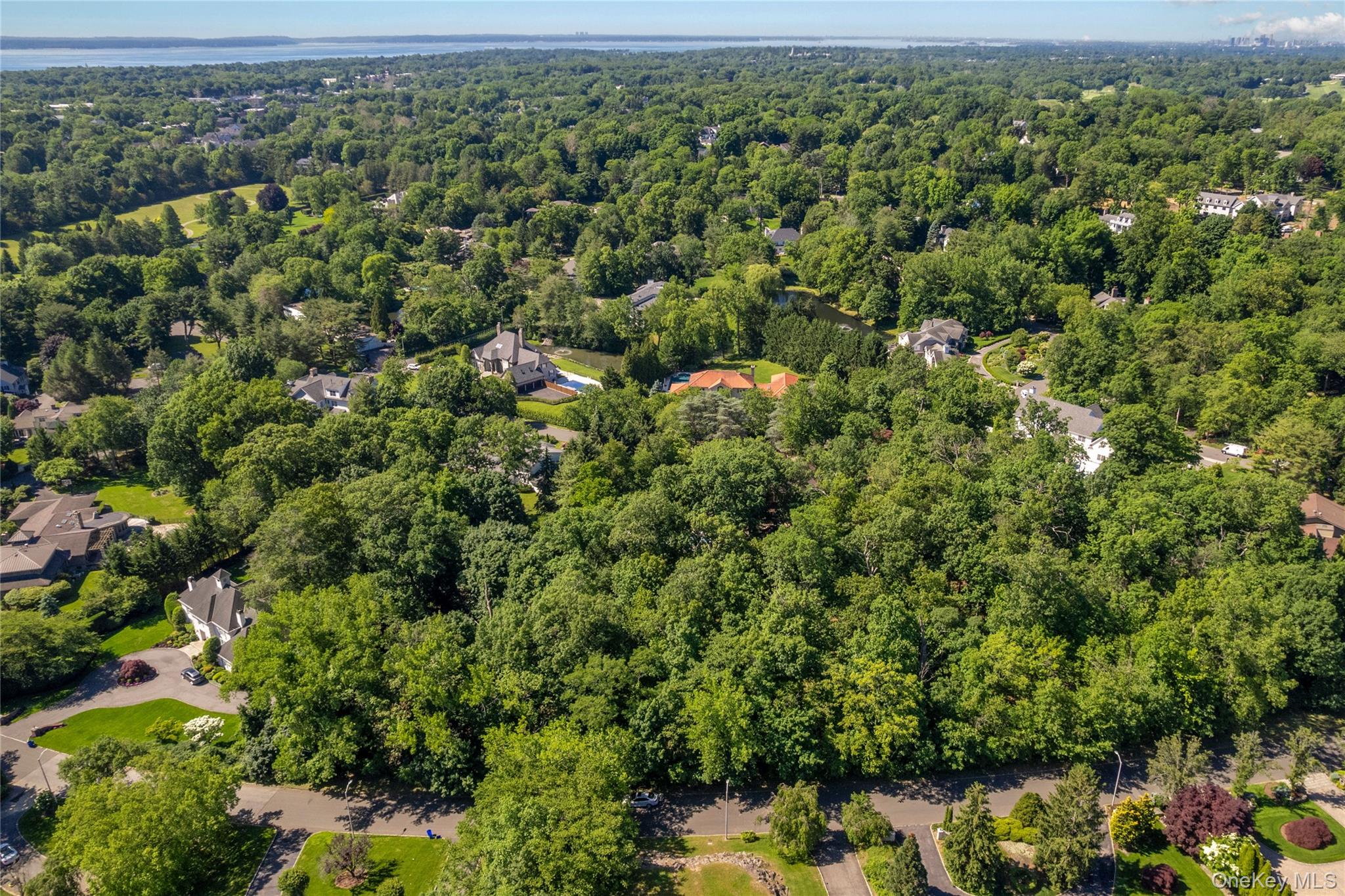 20 Mt. Holly – For Sale photo 4