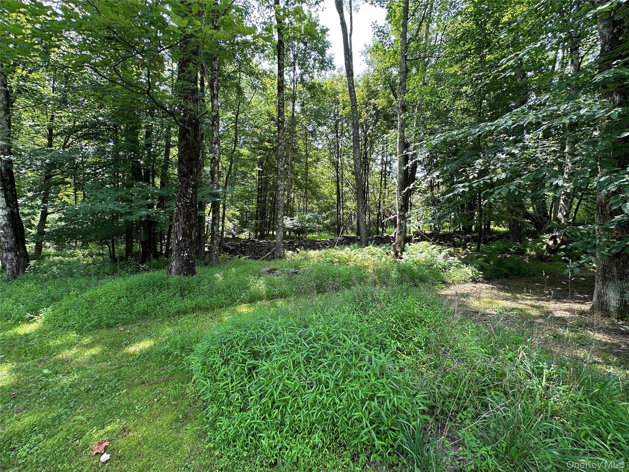 81 Lindholm Road – For Sale photo 3