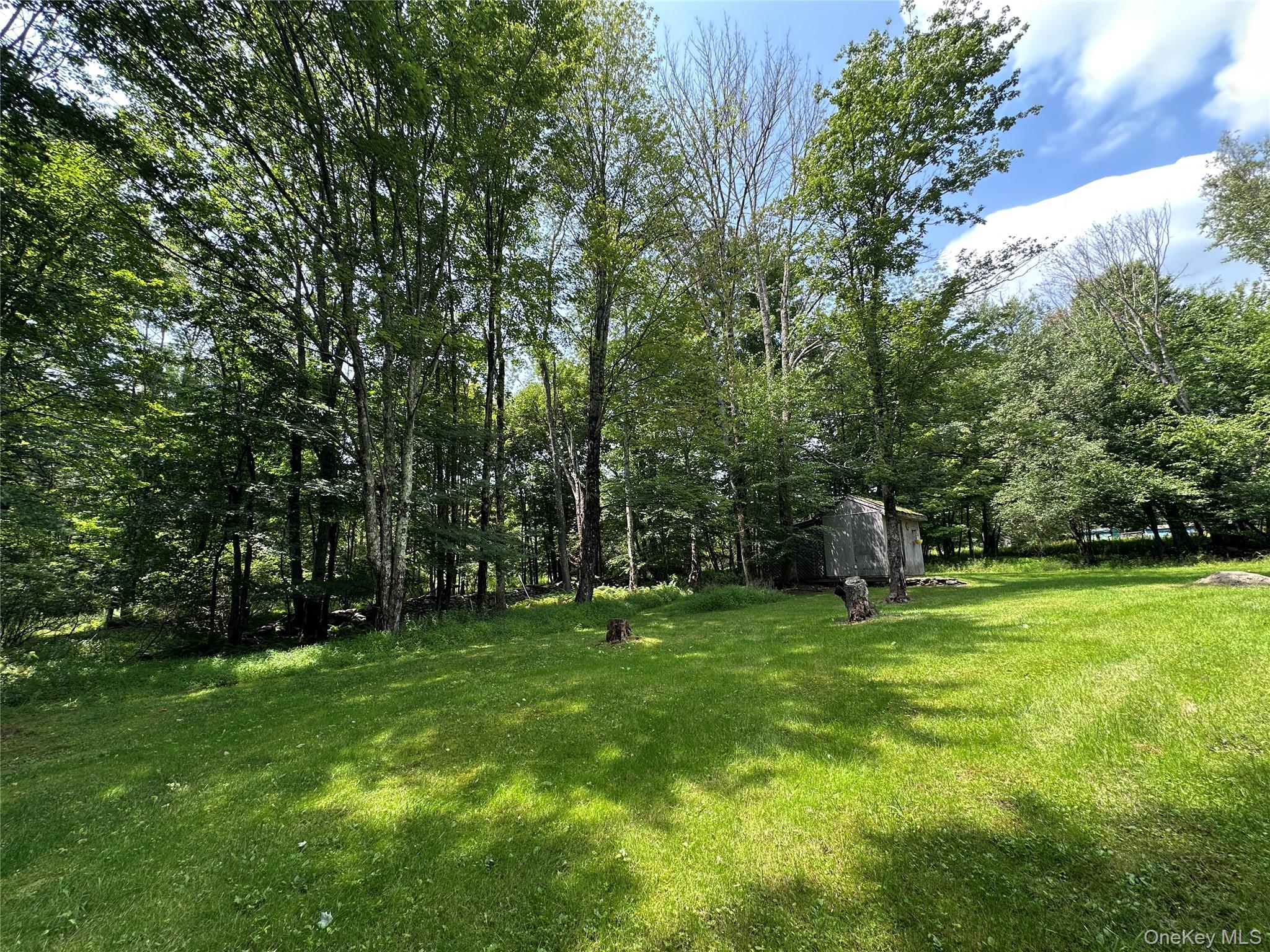 81 Lindholm Road – For Sale photo 25