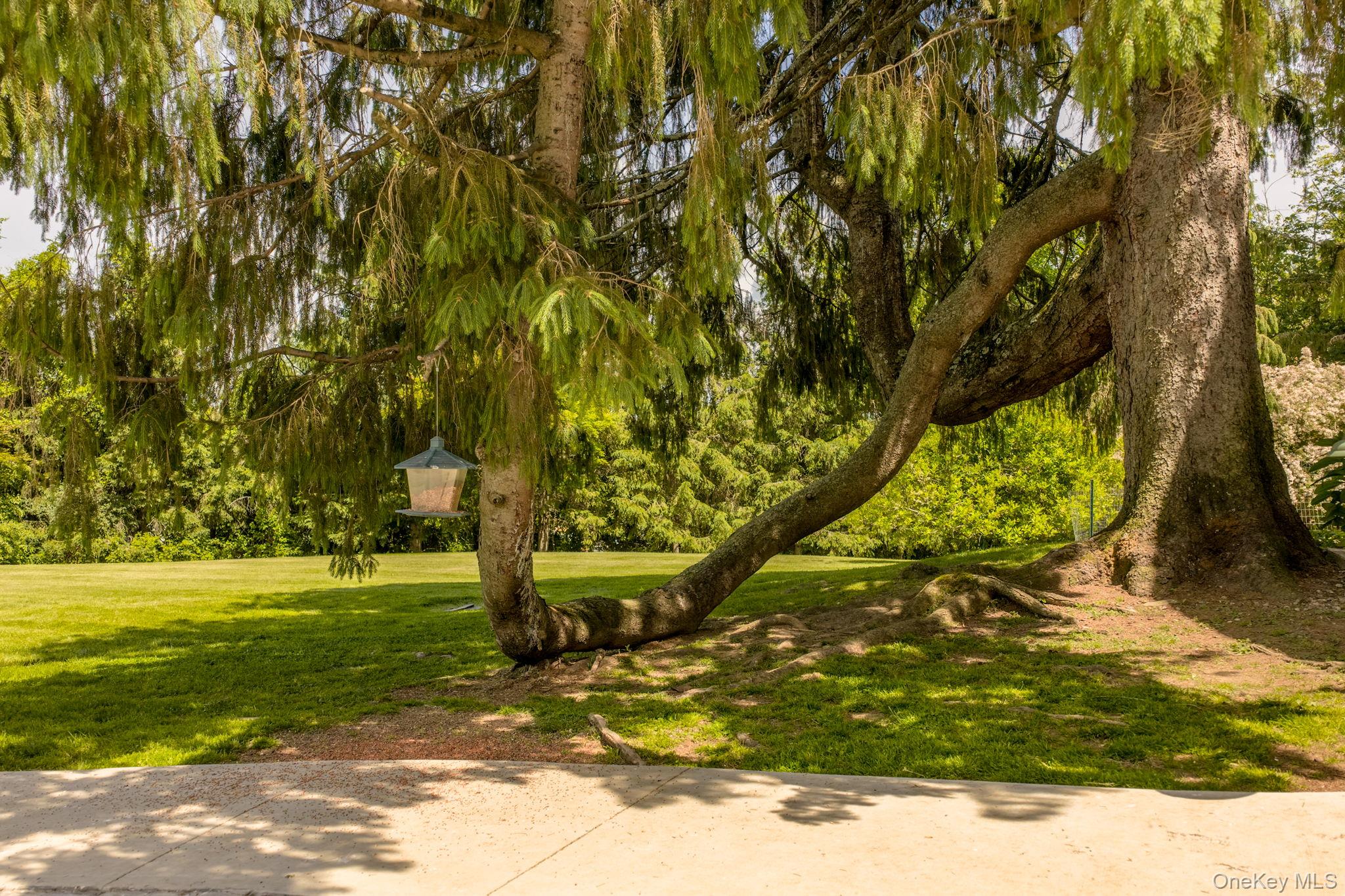 140 Station Road – For Sale photo 43