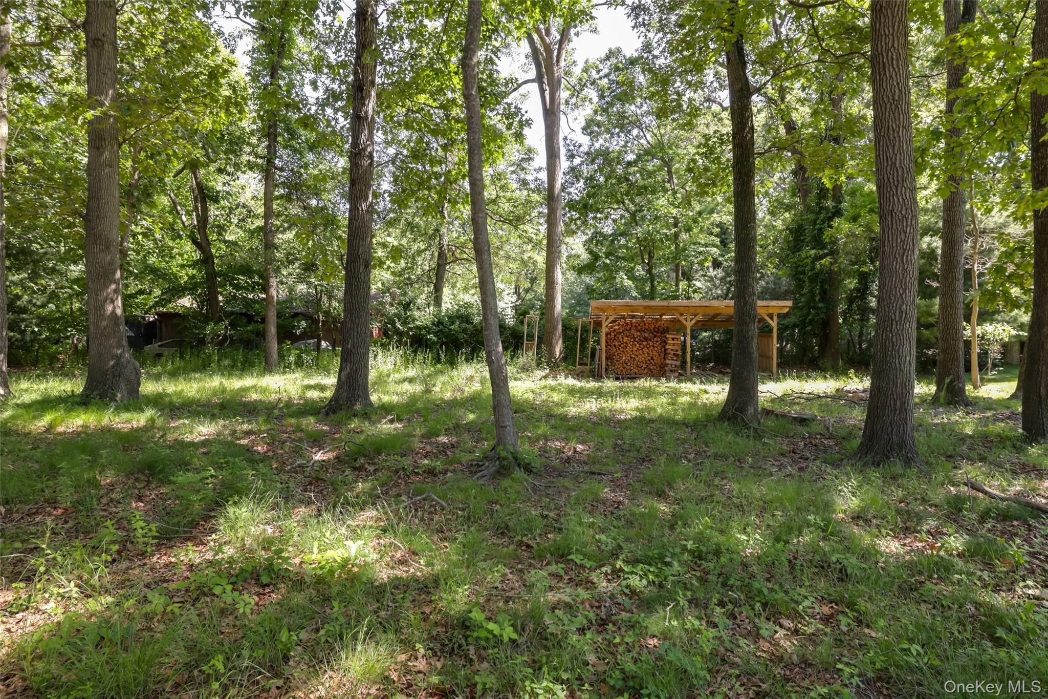 225 Old Willets Path – For Sale photo 31
