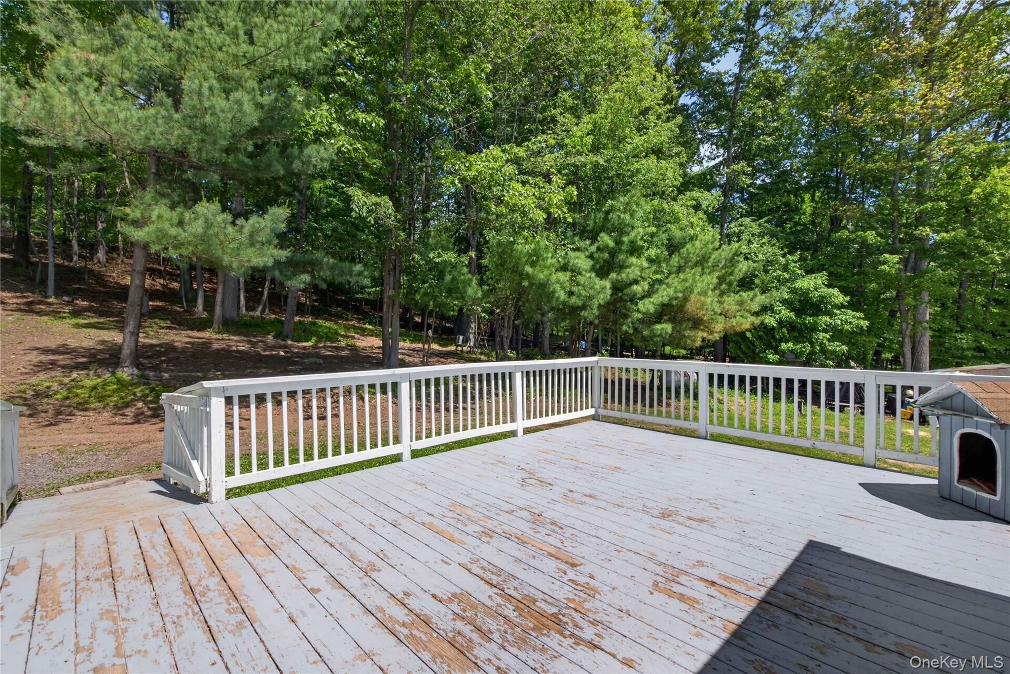 20 Patrick Drive – For Sale photo 36