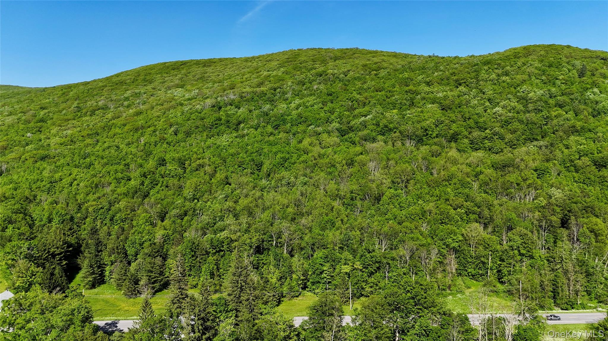 8479 State Route 28 – For Sale photo 5