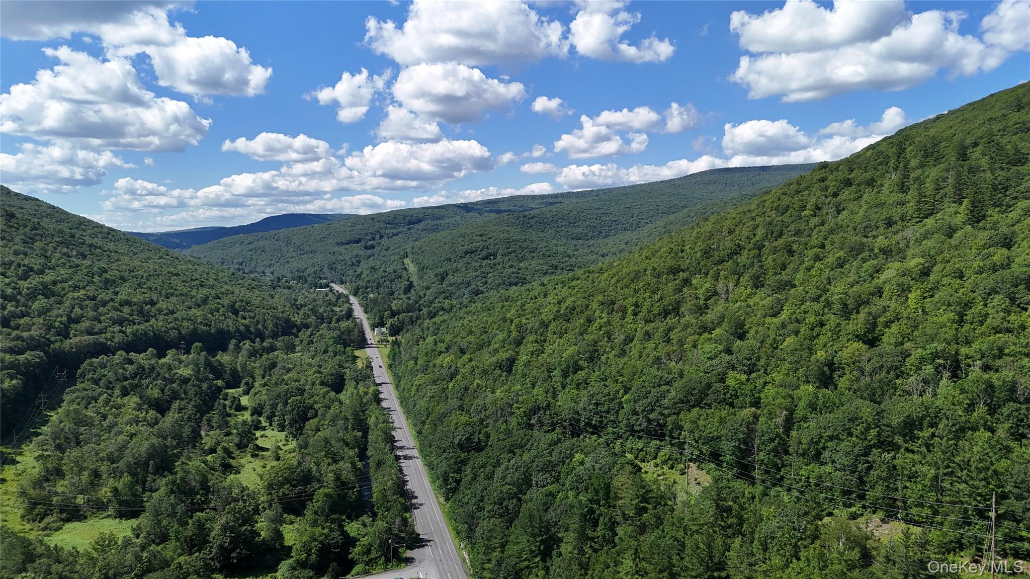 8479 State Route 28 – For Sale photo 6