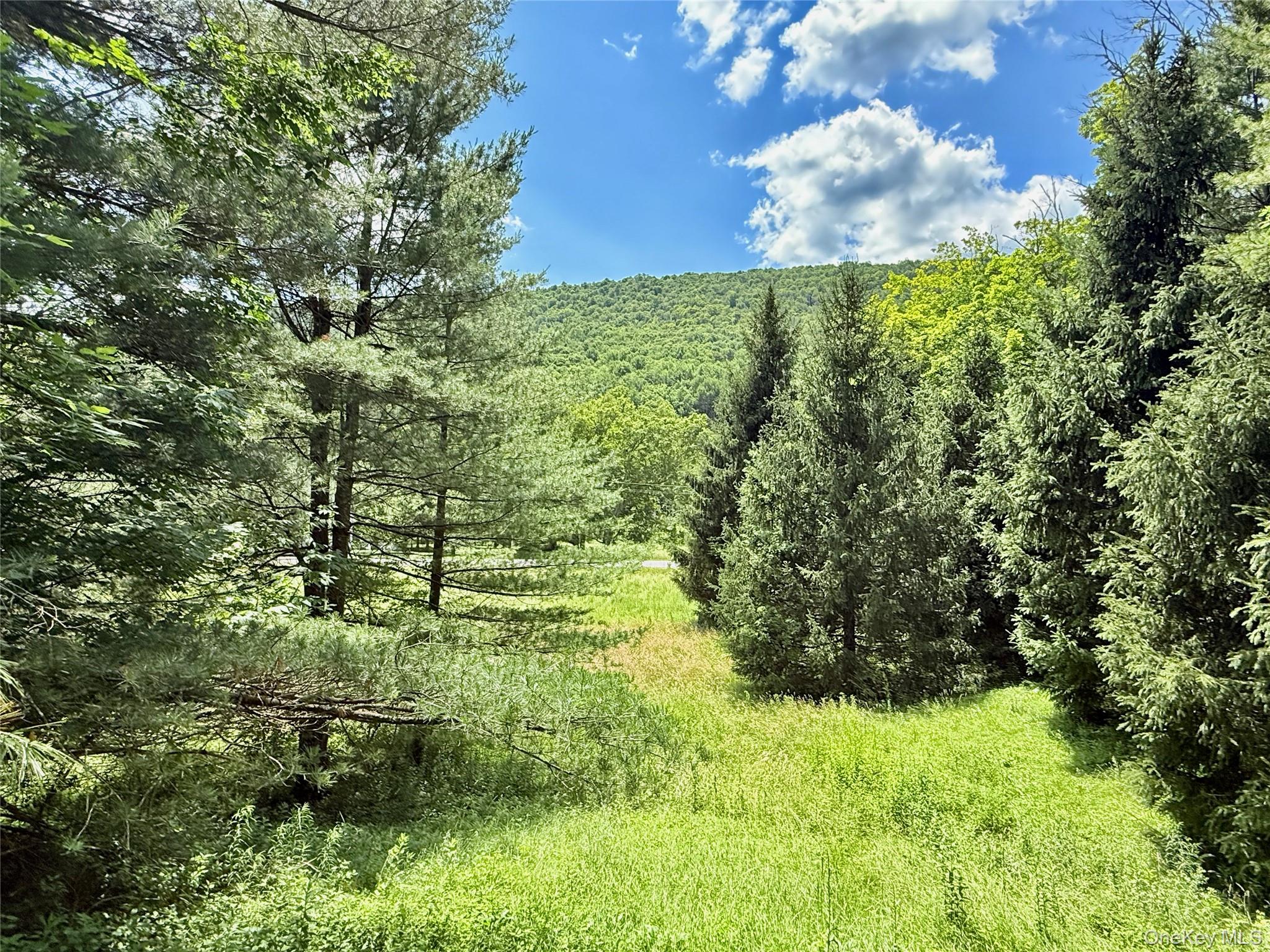 8479 State Route 28 – For Sale photo 40