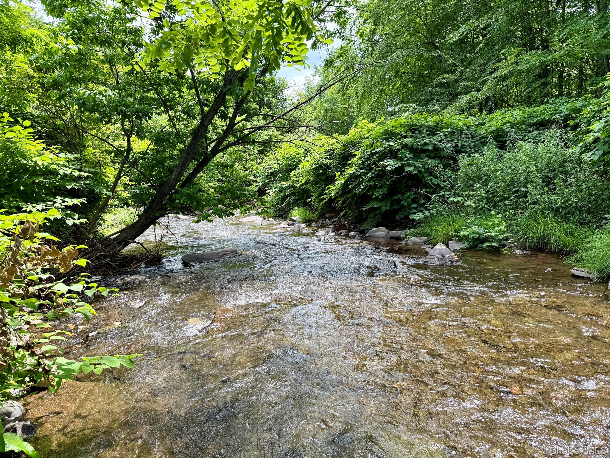 8479 State Route 28 – For Sale photo 8