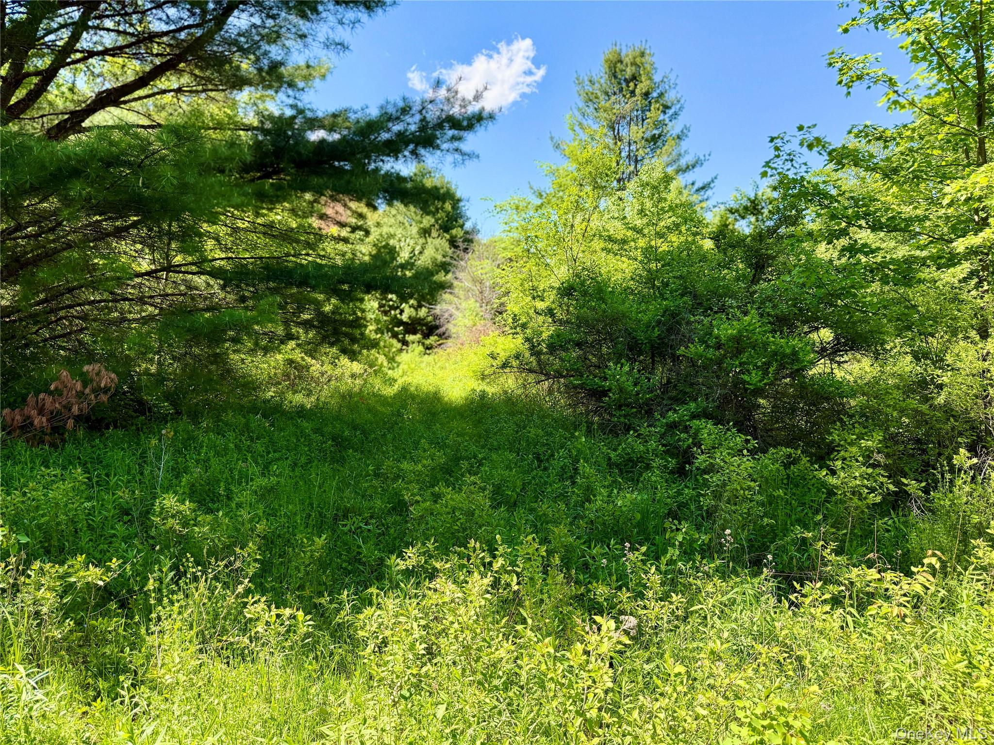 8479 State Route 28 – For Sale photo 39