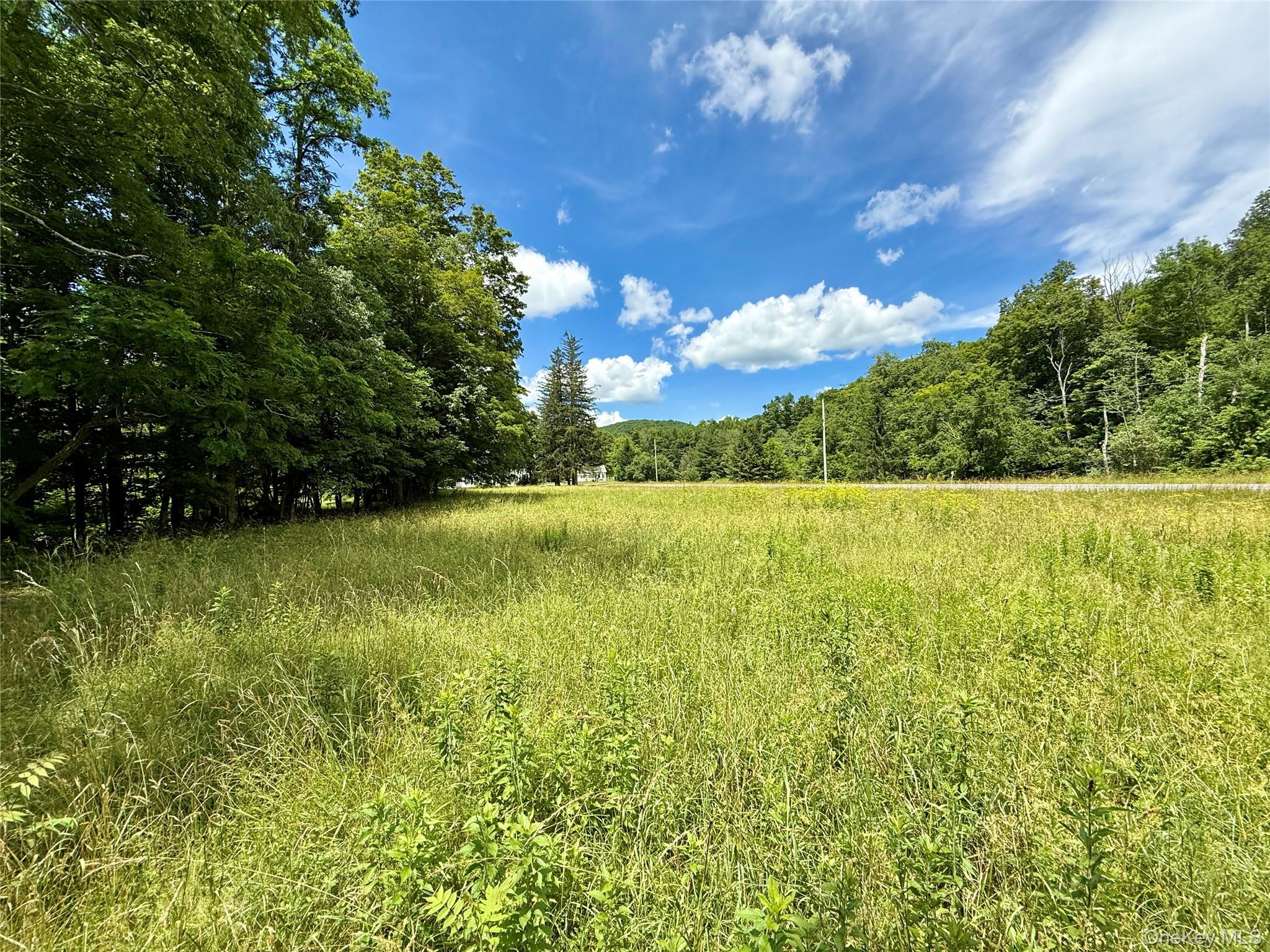 8479 State Route 28 – For Sale photo 9
