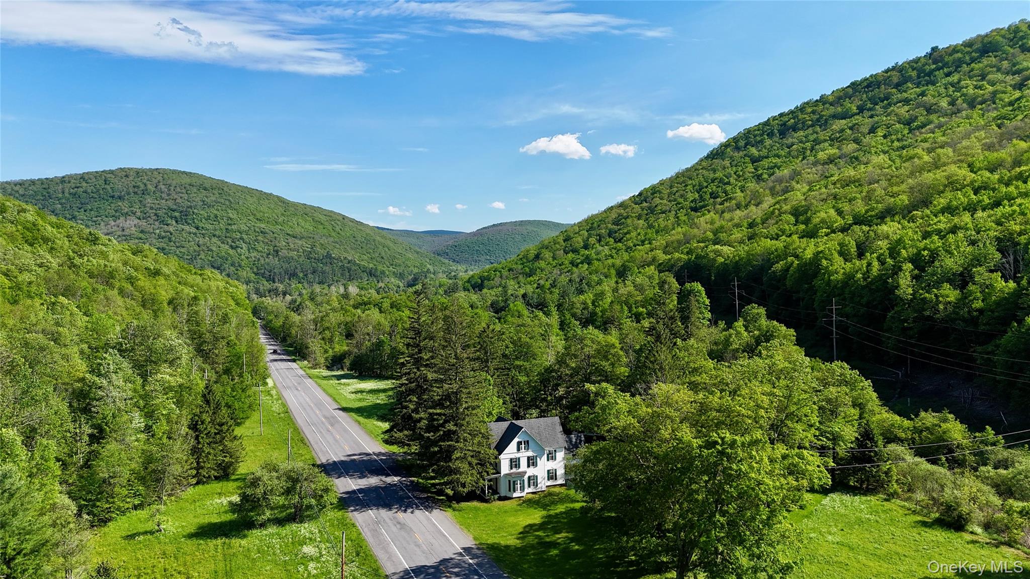 8479 State Route 28 – For Sale