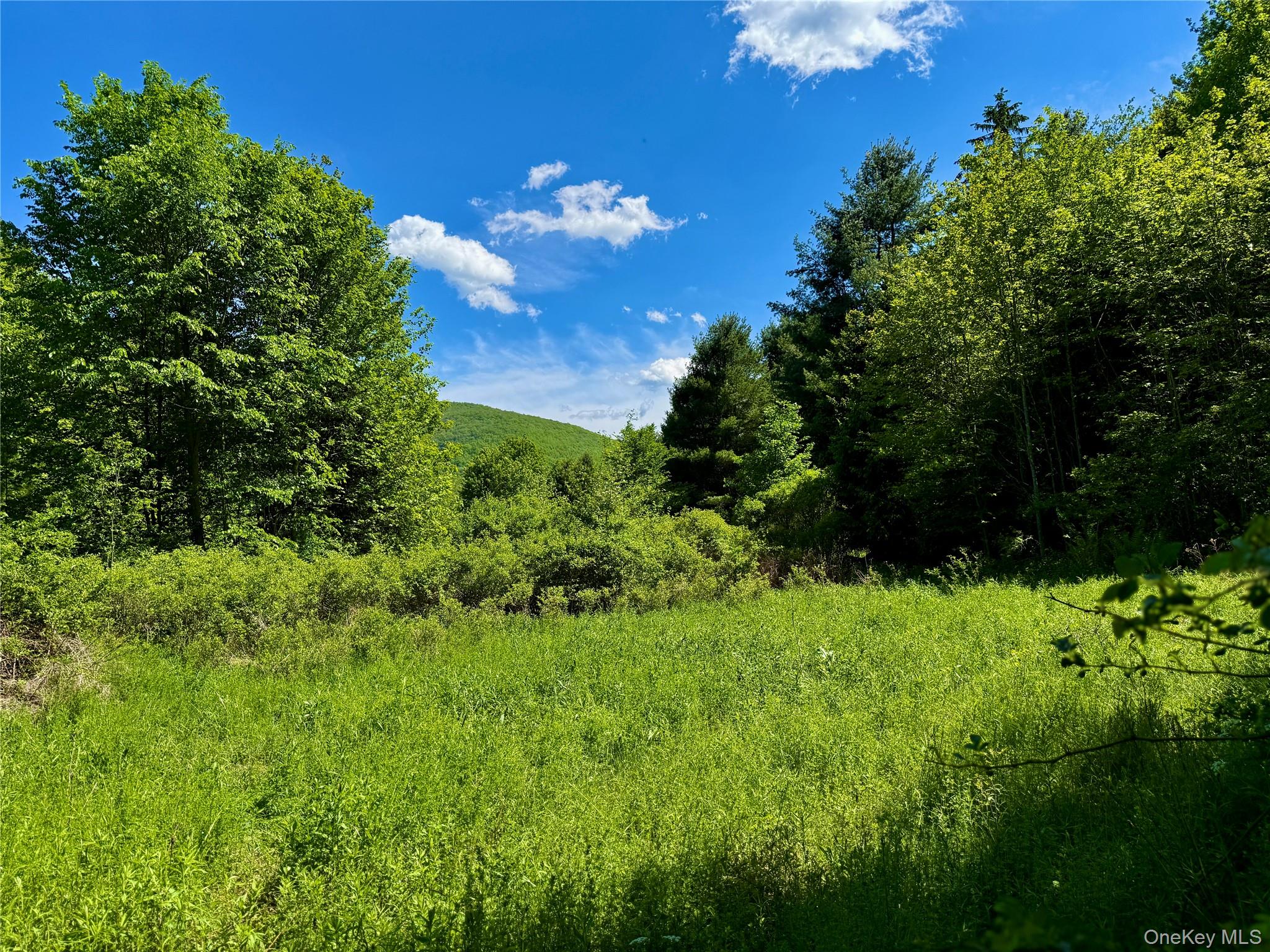 8479 State Route 28 – For Sale photo 38