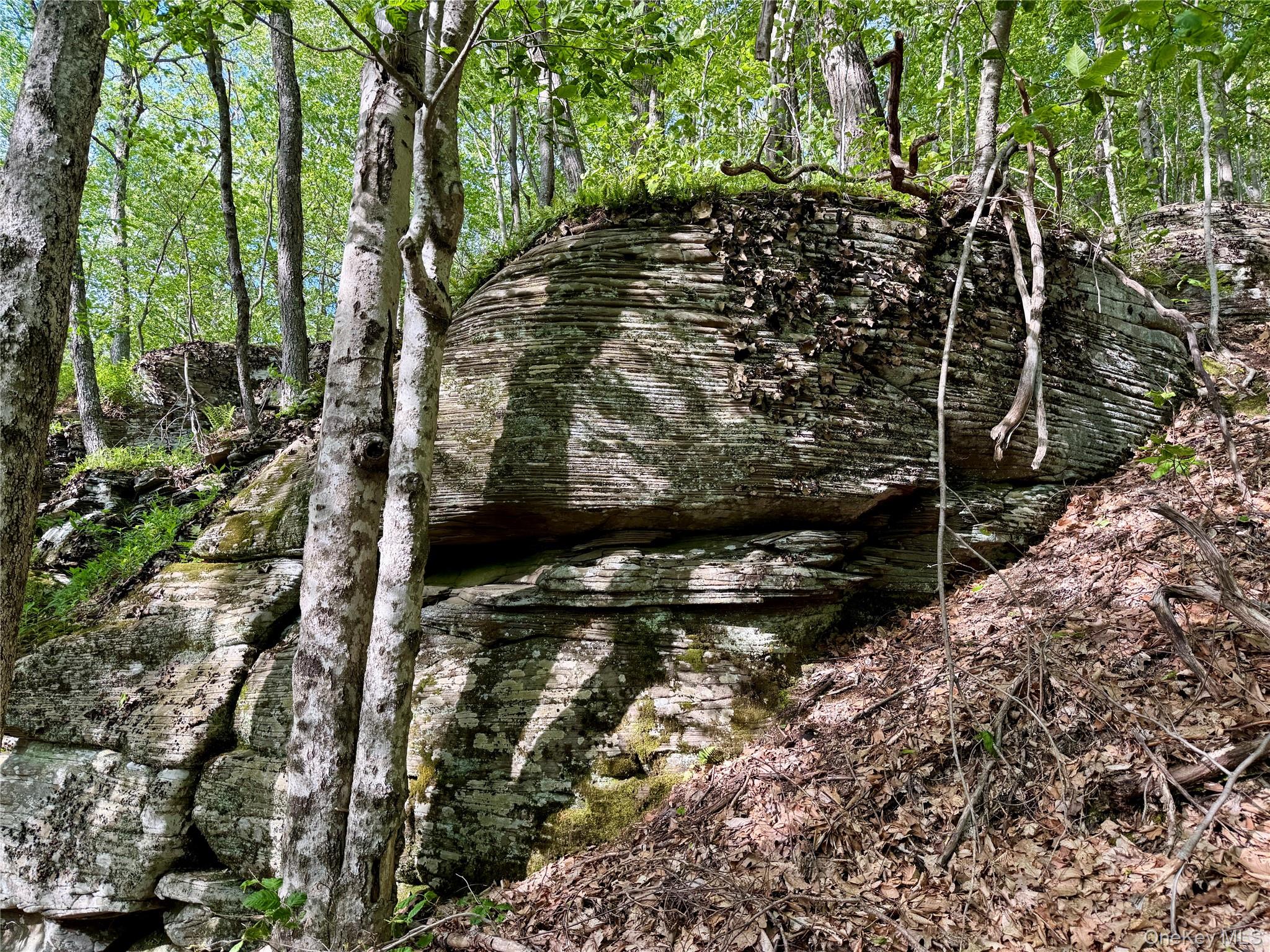8479 State Route 28 – For Sale photo 13