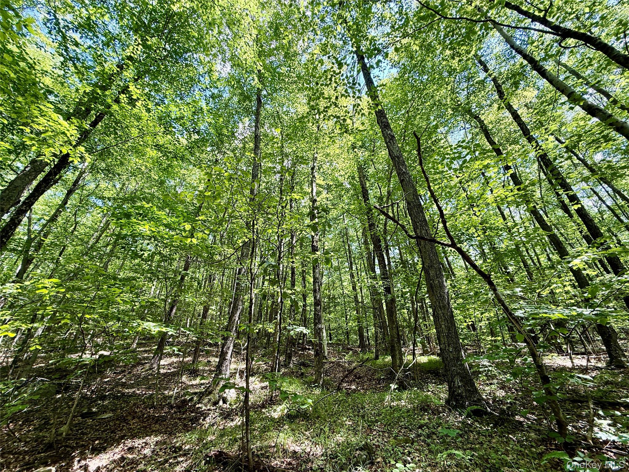 8479 State Route 28 – For Sale photo 15