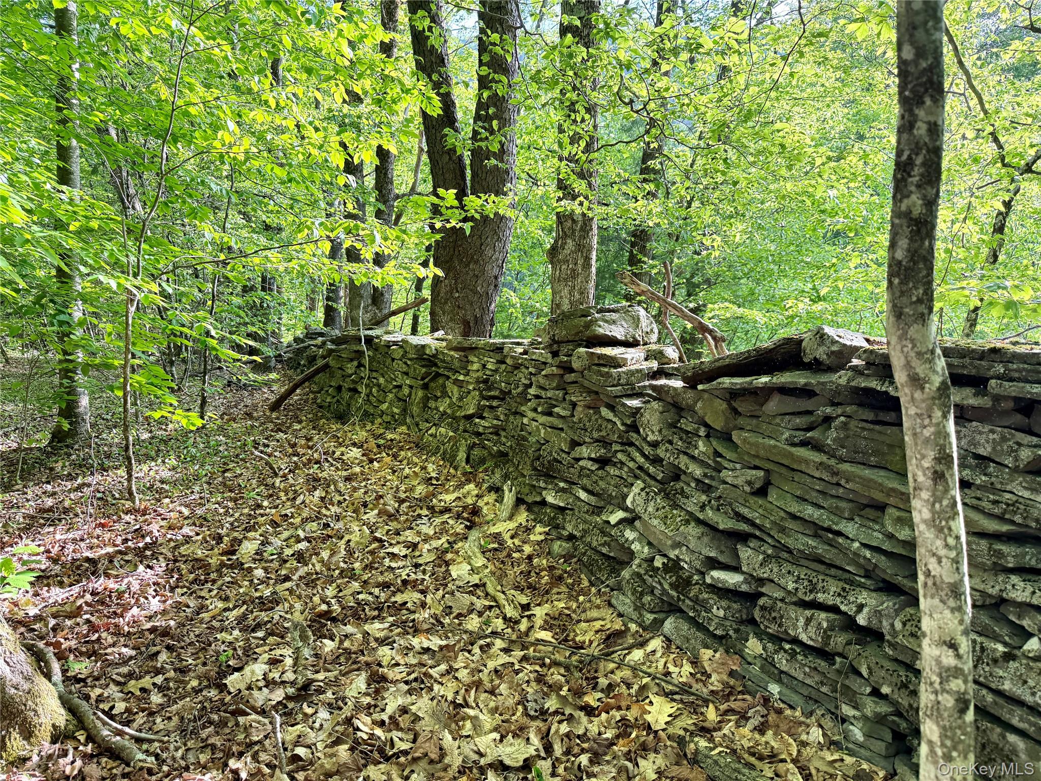 8479 State Route 28 – For Sale photo 14