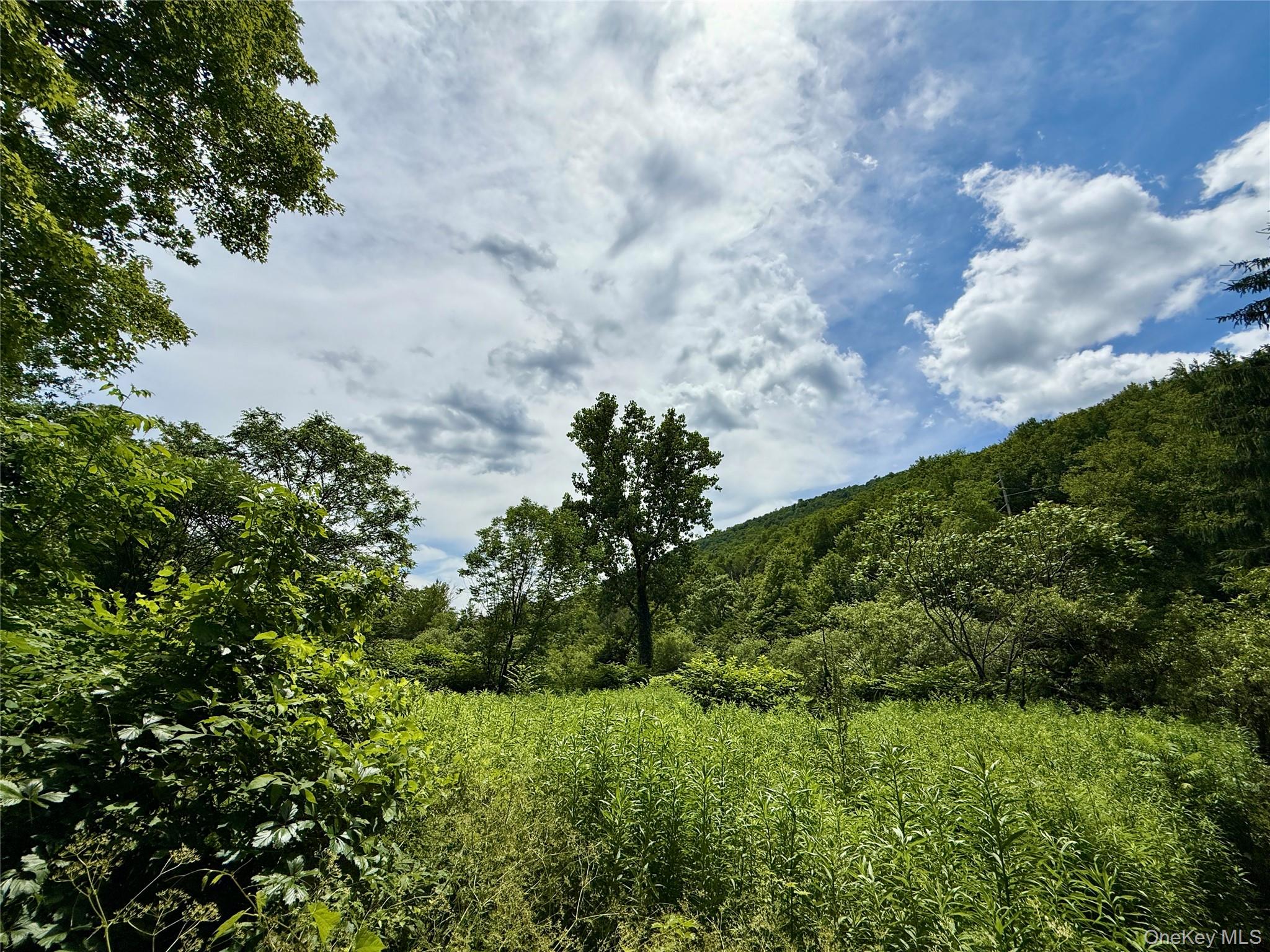 8479 State Route 28 – For Sale photo 10