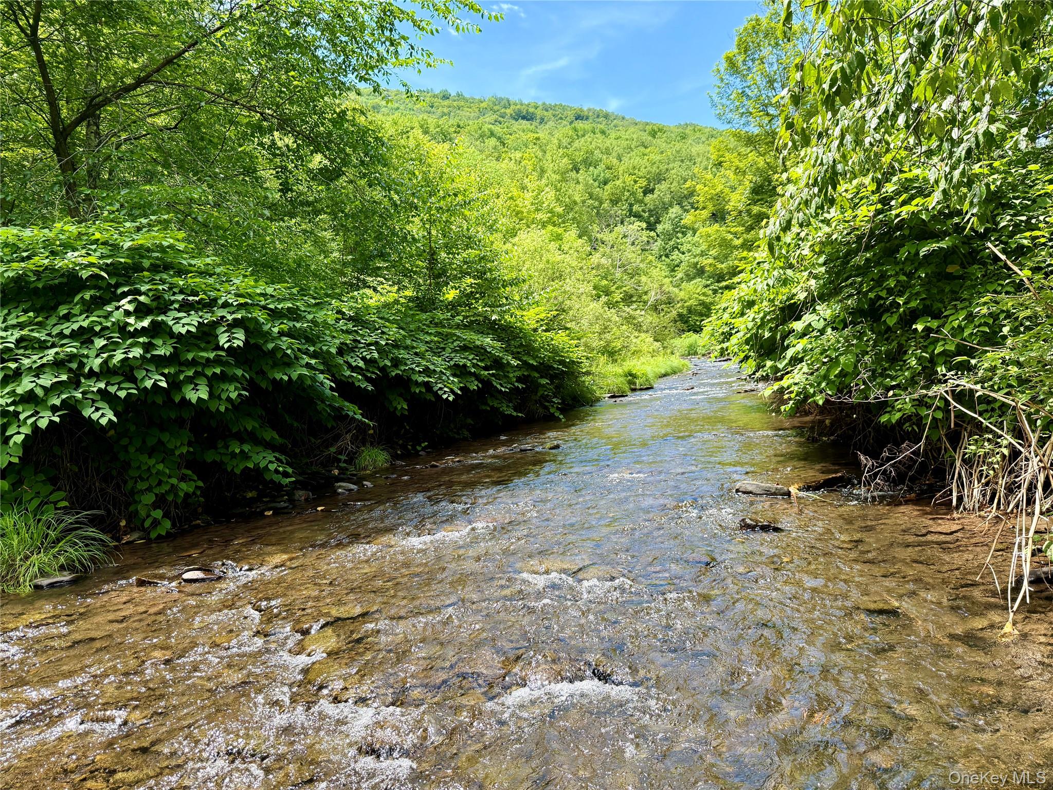 8479 State Route 28 – For Sale photo 7