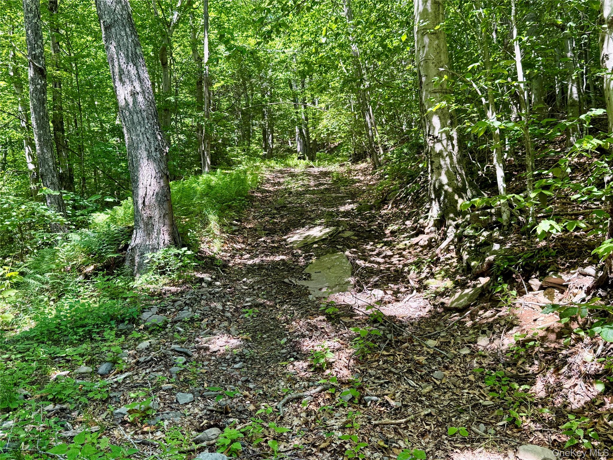 8479 State Route 28 – For Sale photo 43
