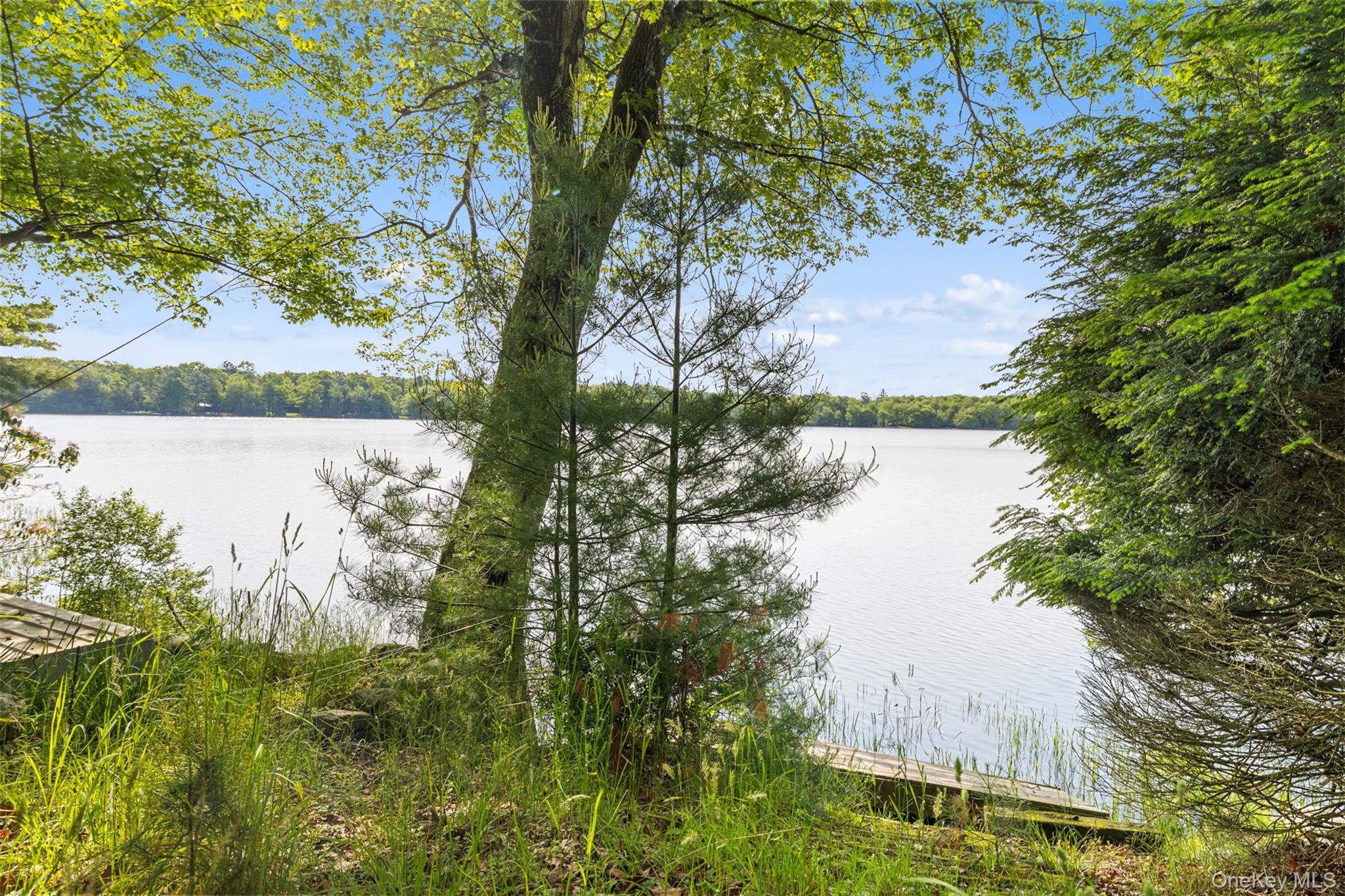 16 Fairway Drive – For Sale photo 36