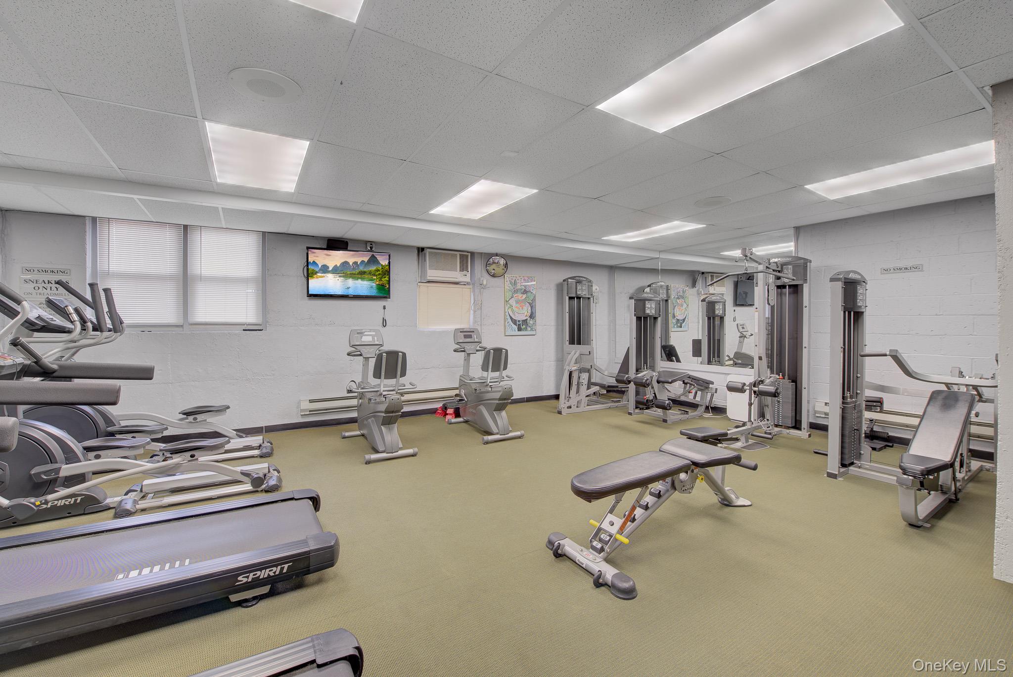 54-44 Little Neck Parkway, Unit 5U photo 18