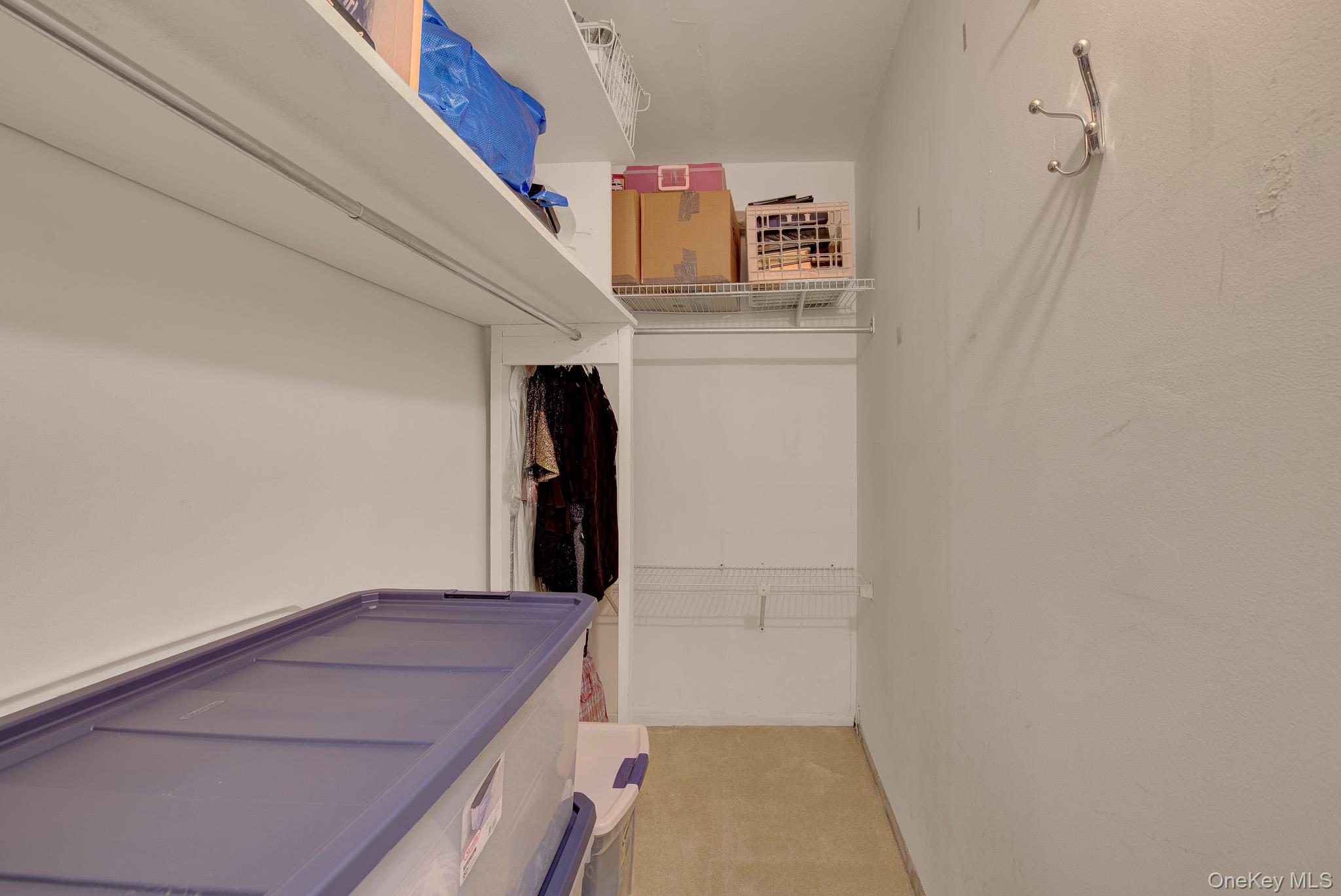 54-44 Little Neck Parkway, Unit 5U photo 25