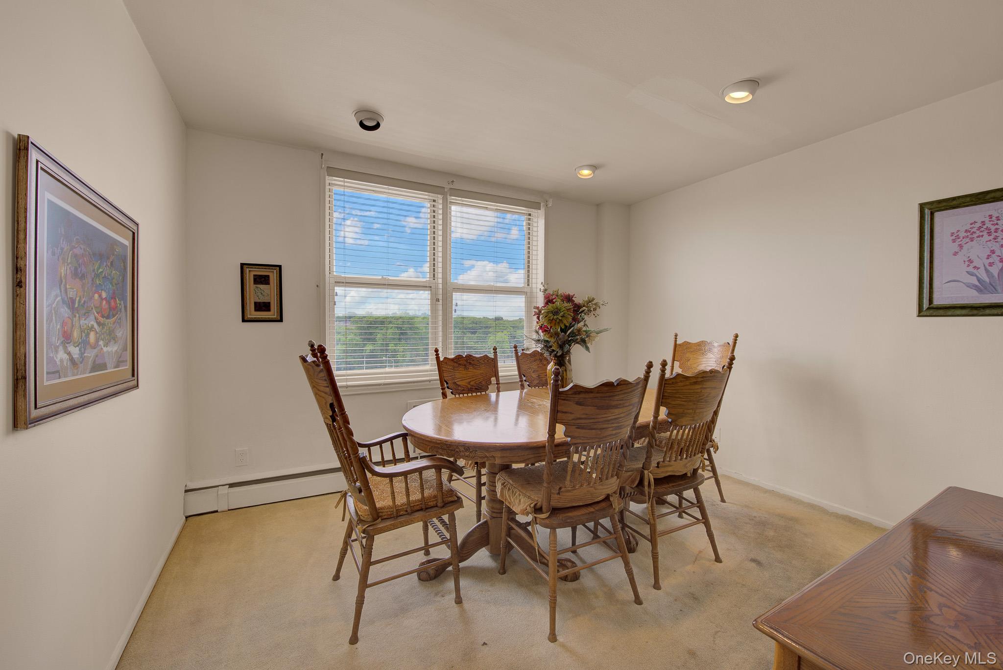 54-44 Little Neck Parkway, Unit 5U photo 23